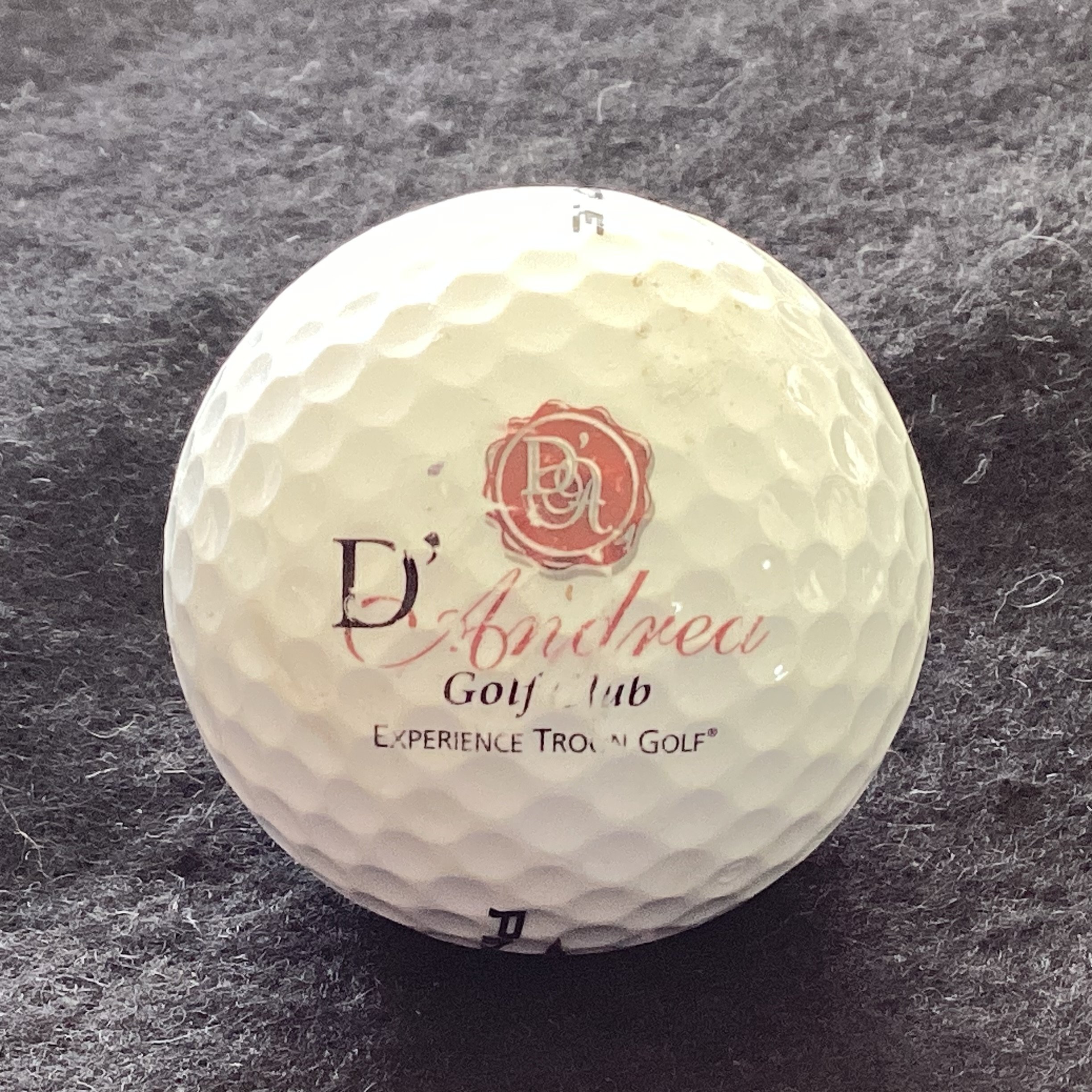 D’Andrea Golf Club 