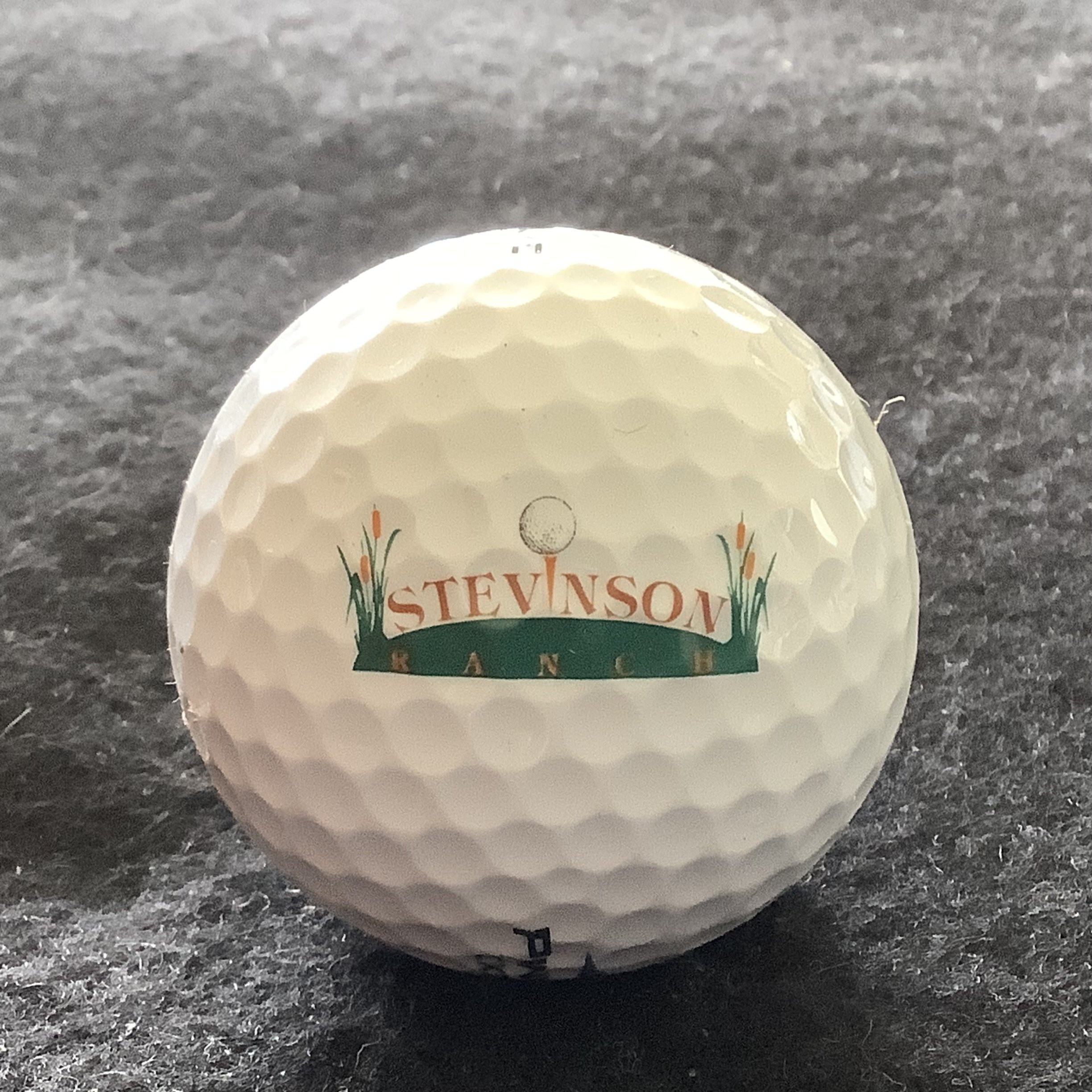 Stevinson Ranch Golf Course 