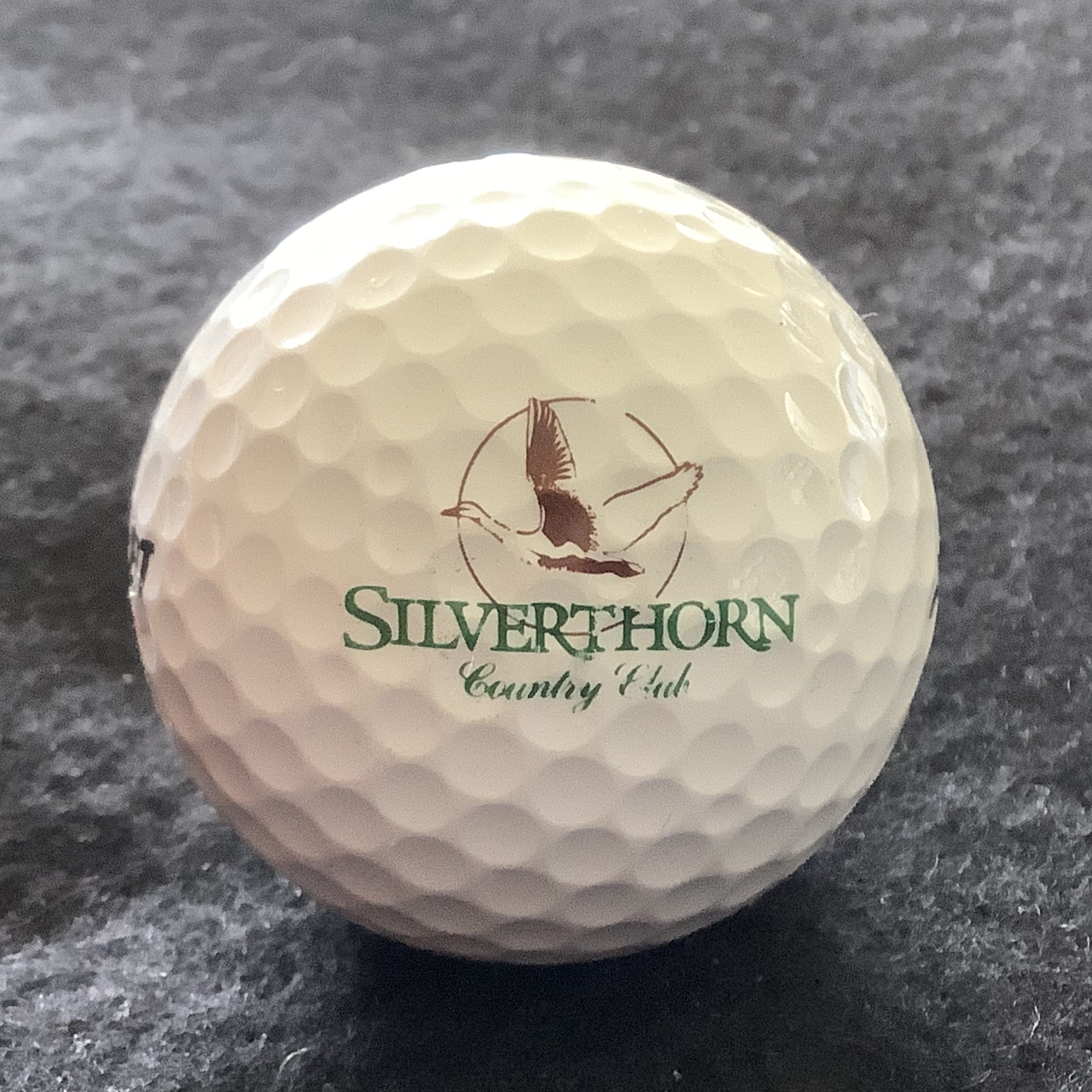 Silverthorn Country Club 