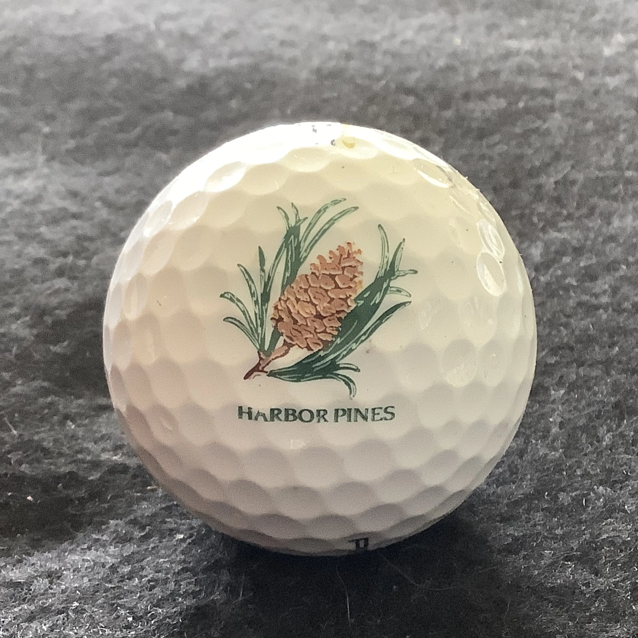 Harbor Pines Golf Club 