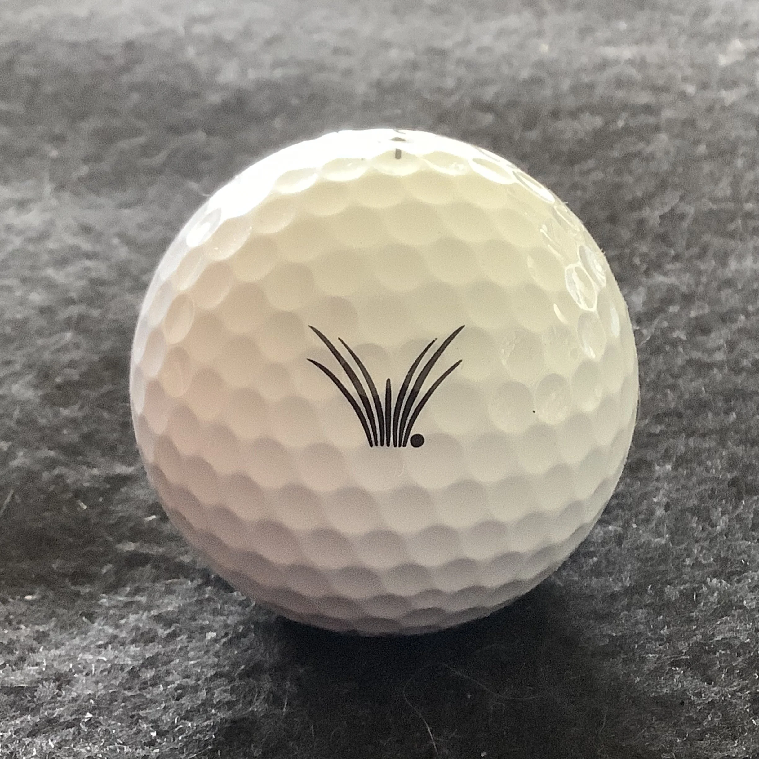 Windsong Farm Golf Course 