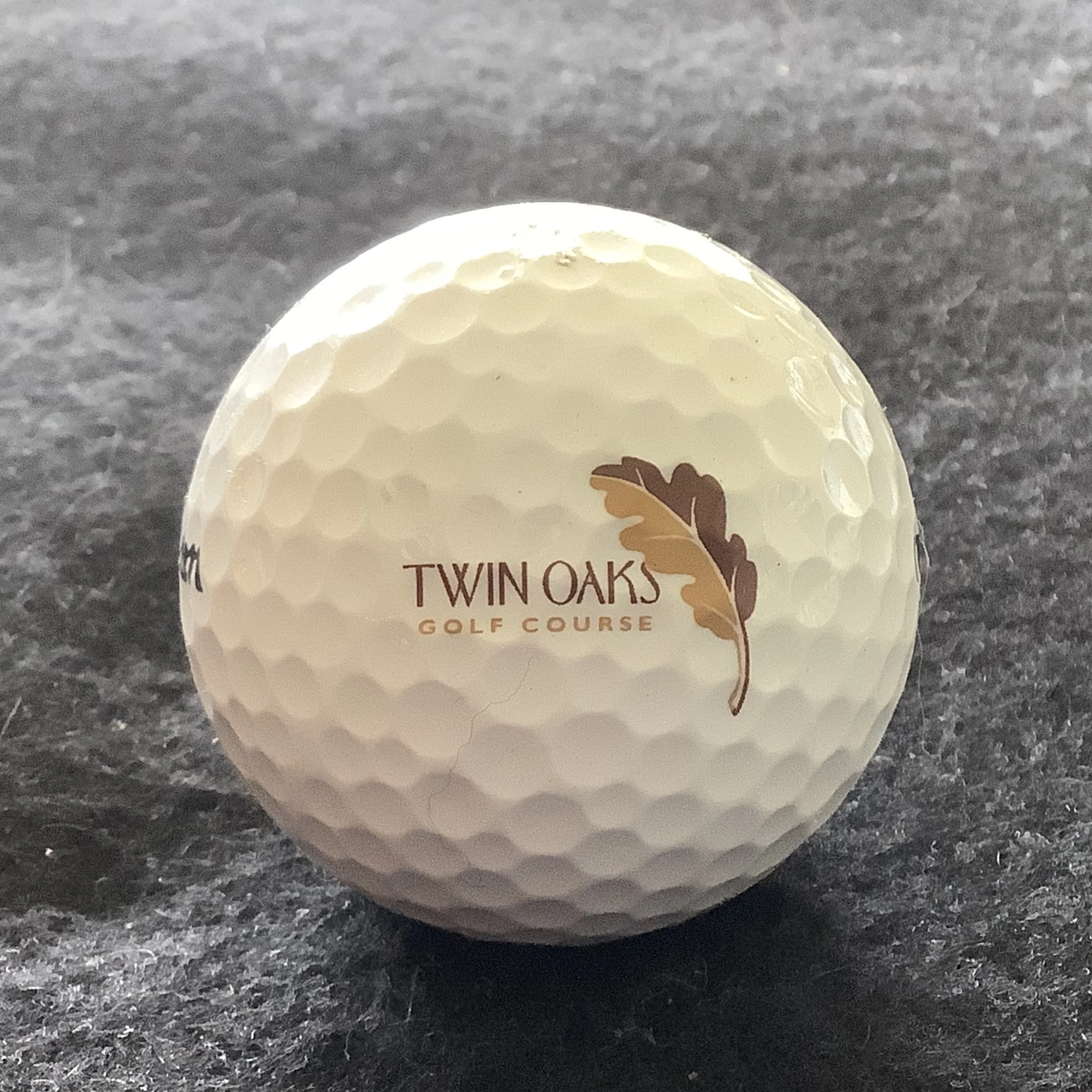 Twin Oaks Golf Course 