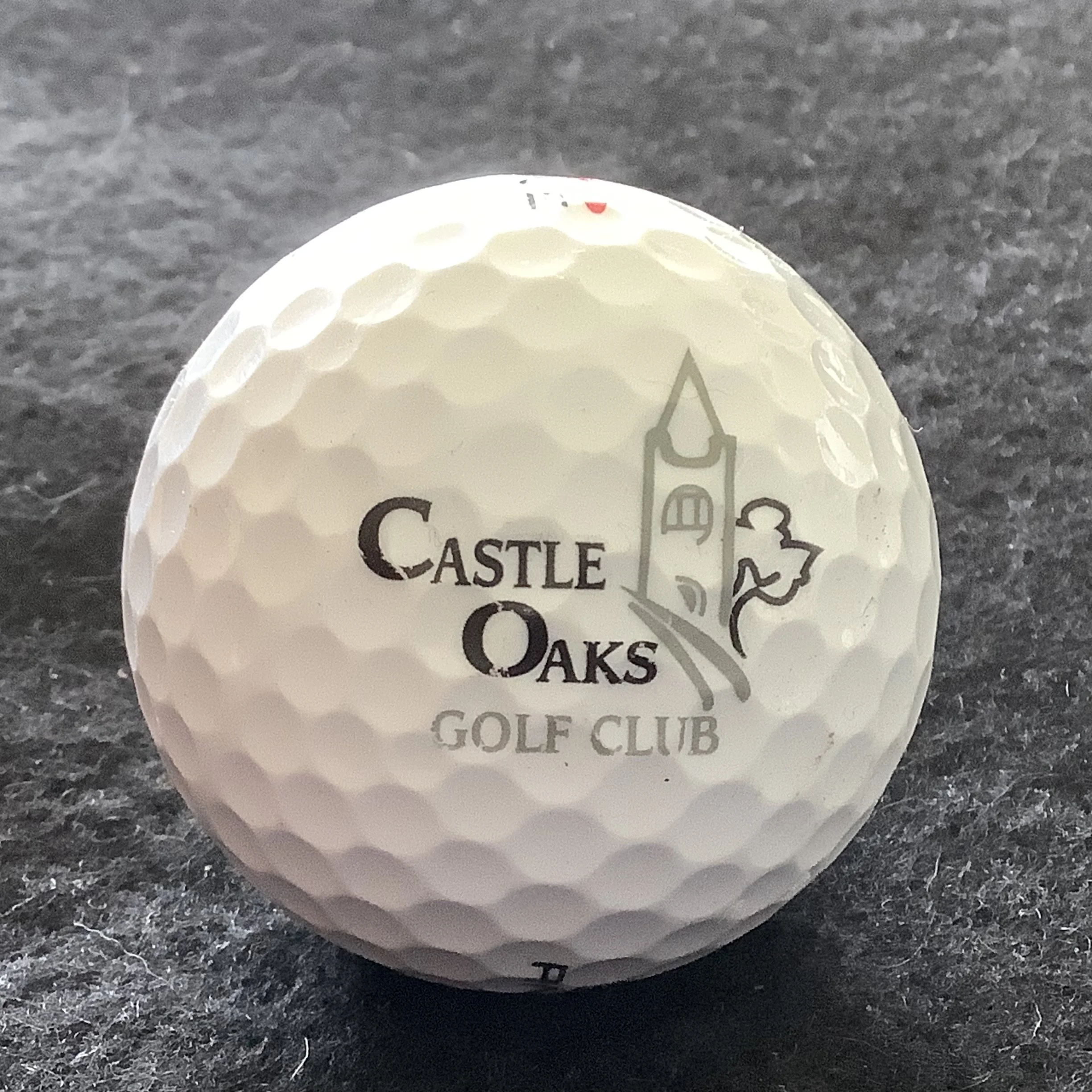 Castle Oaks Golf Club 