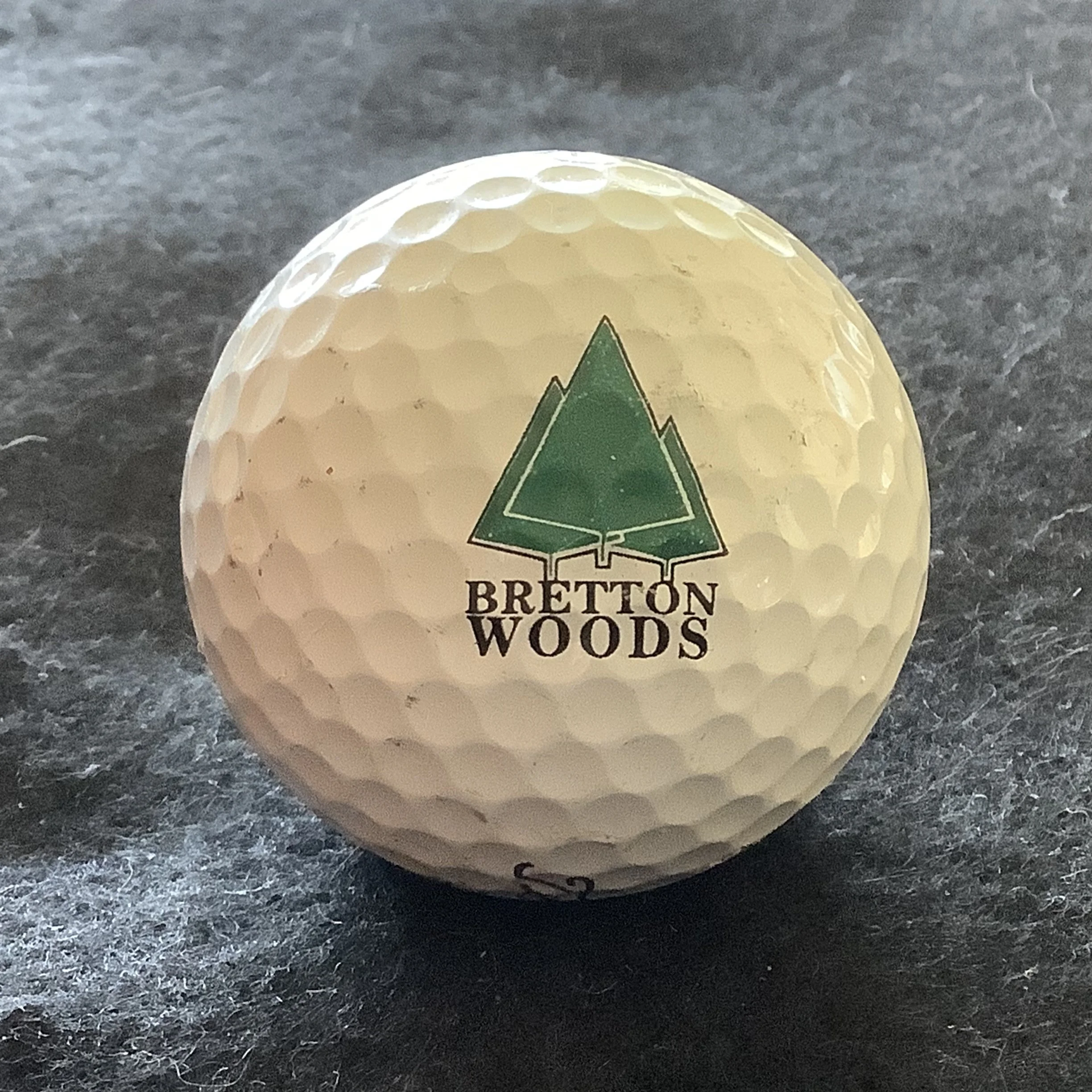 Bretton Woods Golf Club 