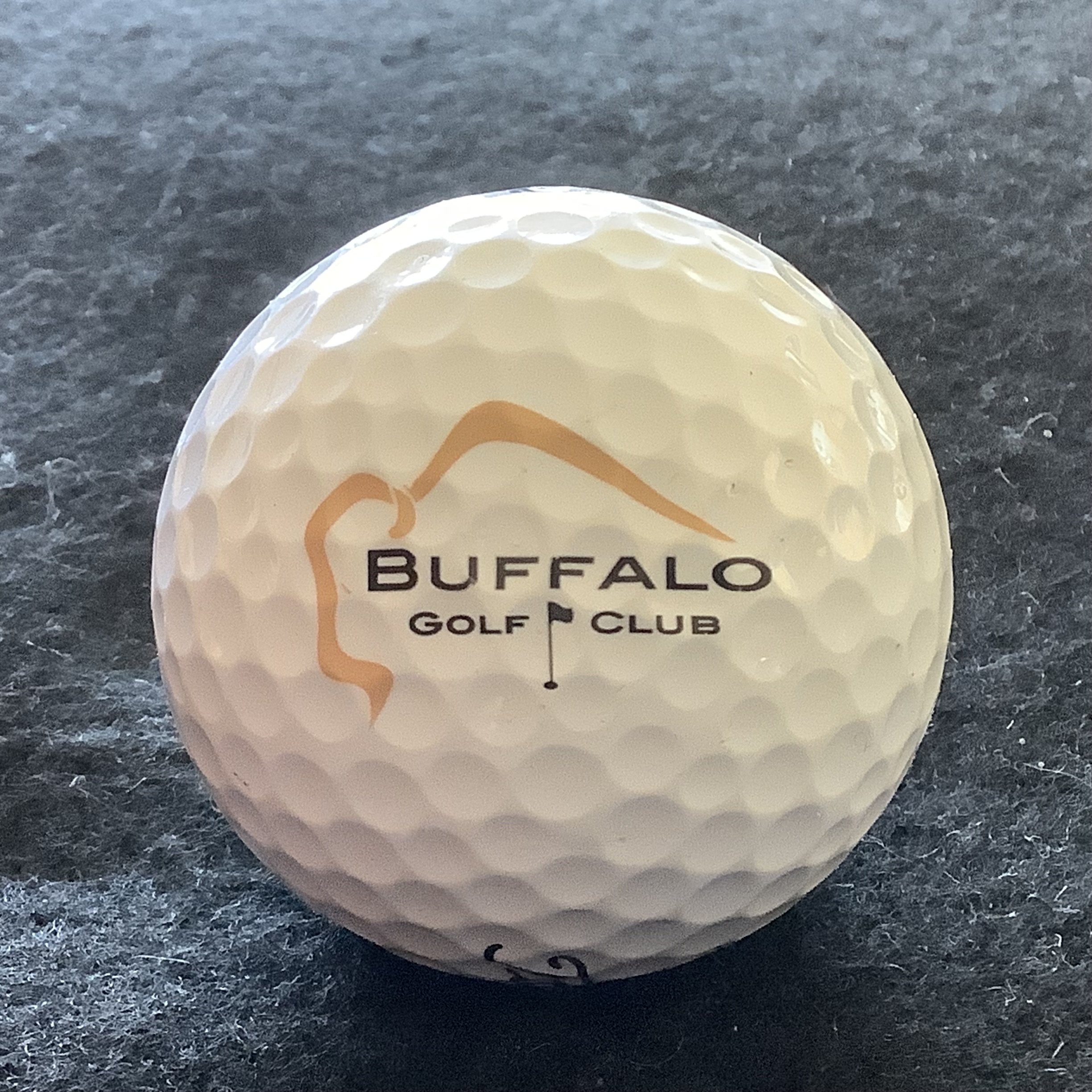 Buffalo Golf Club 