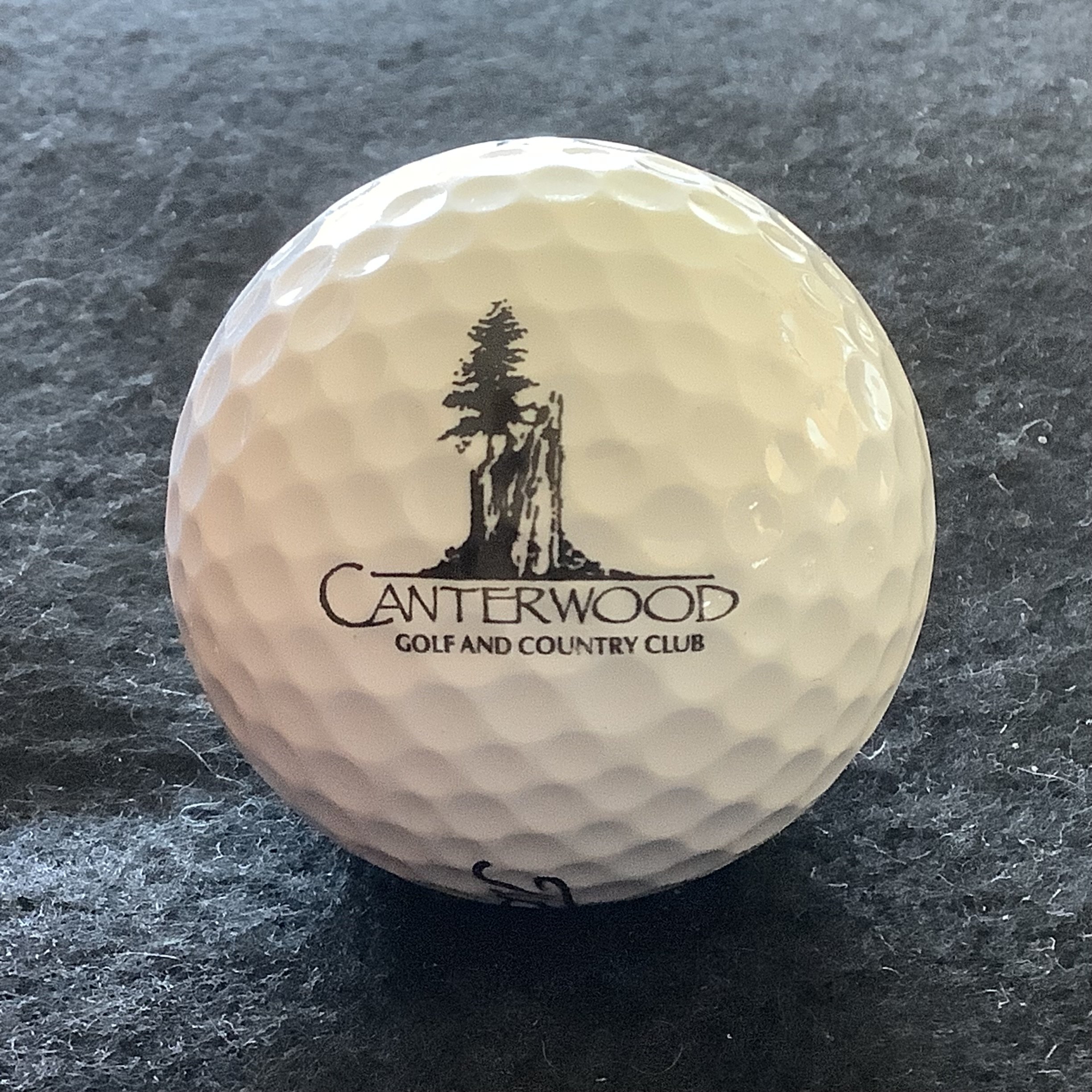 Canterwood Golf and Country Club 