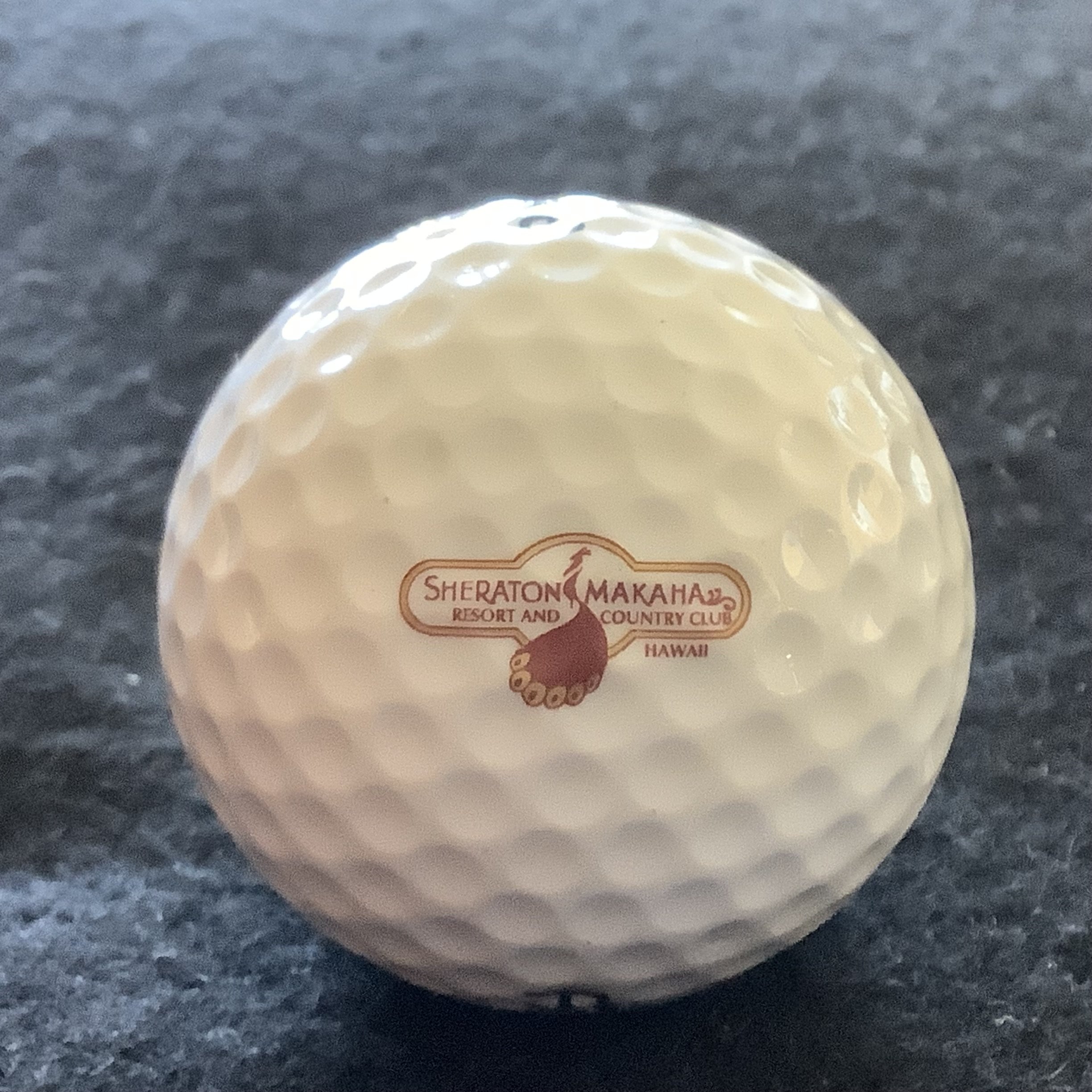 Sheraton Makaha Resort and Country Club 