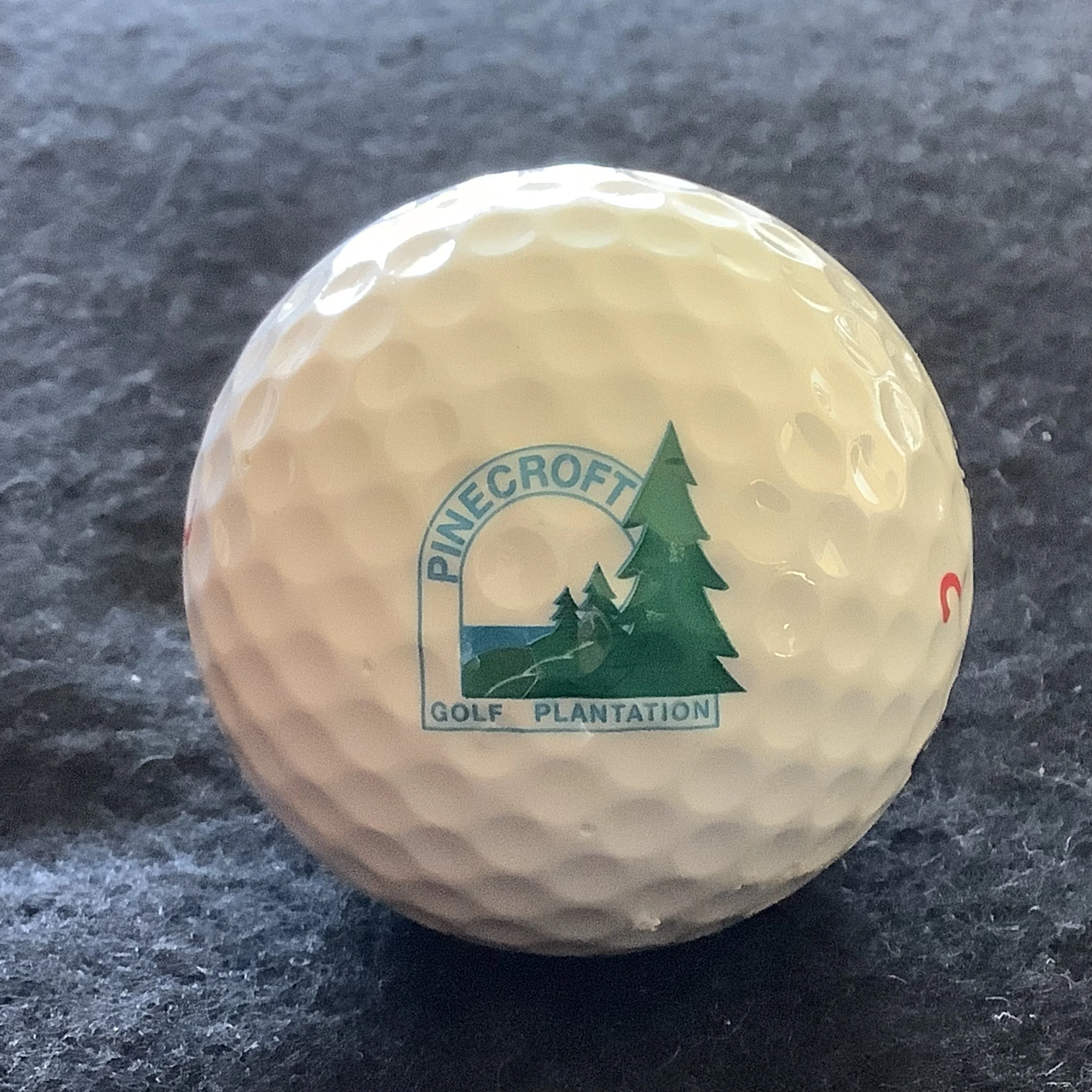 Pinecroft Golf Plantation 