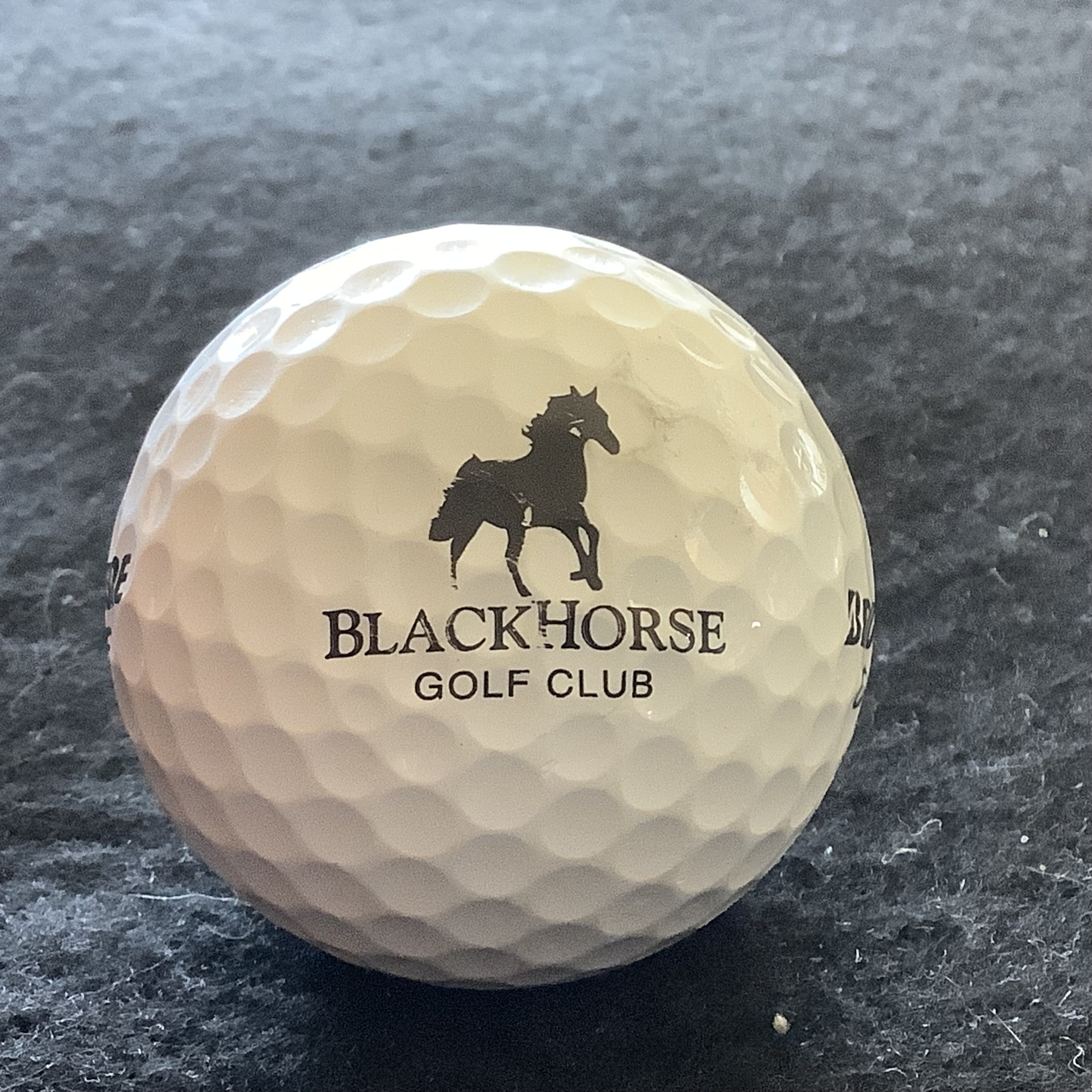 Blackhorse Golf Club 