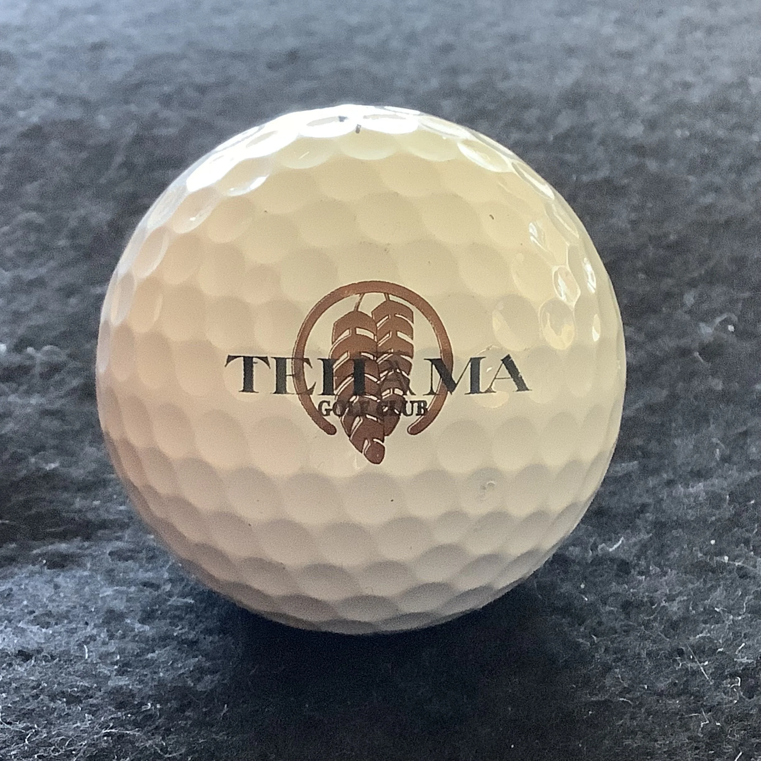 Tehama Golf Club 