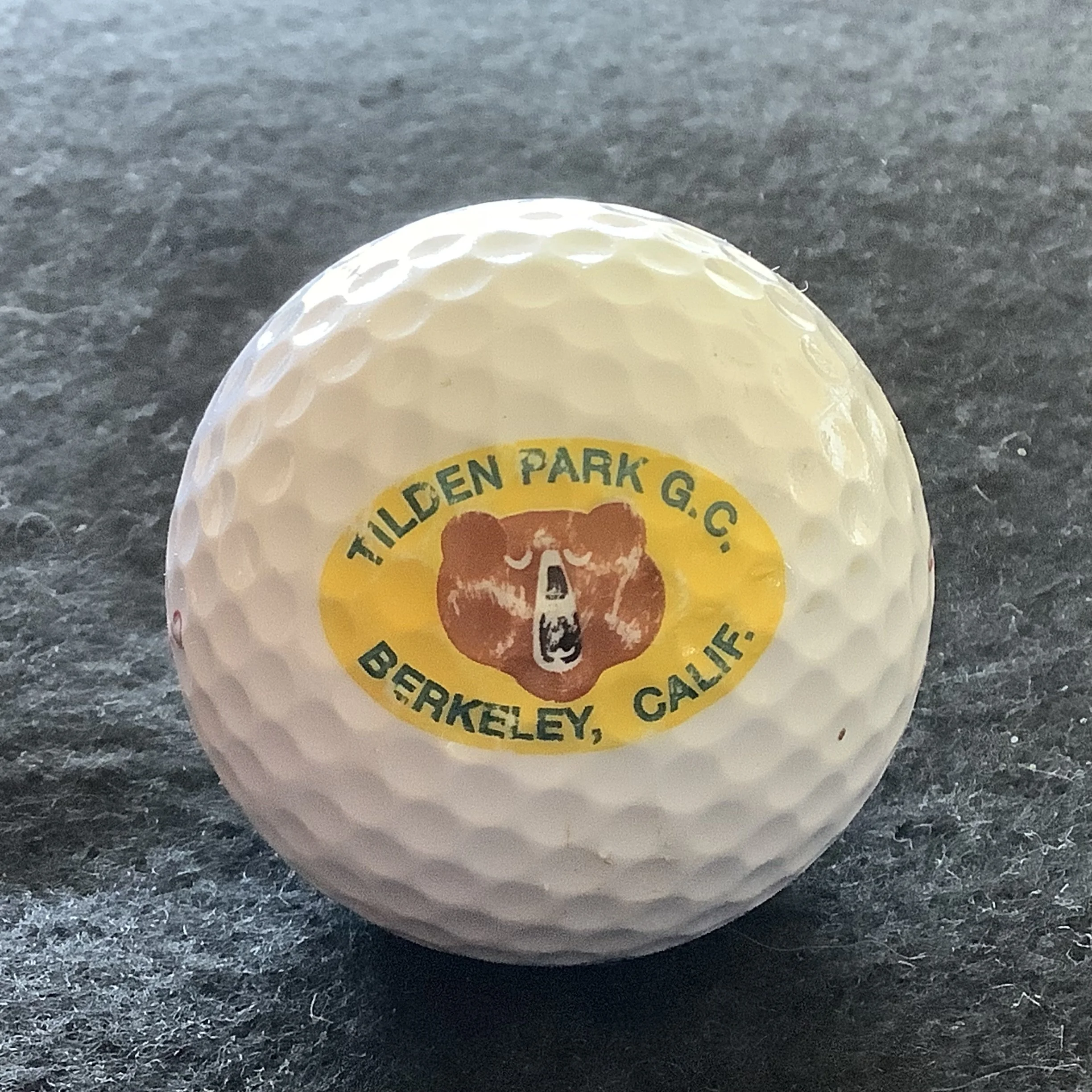 Tilden Park Golf Club 