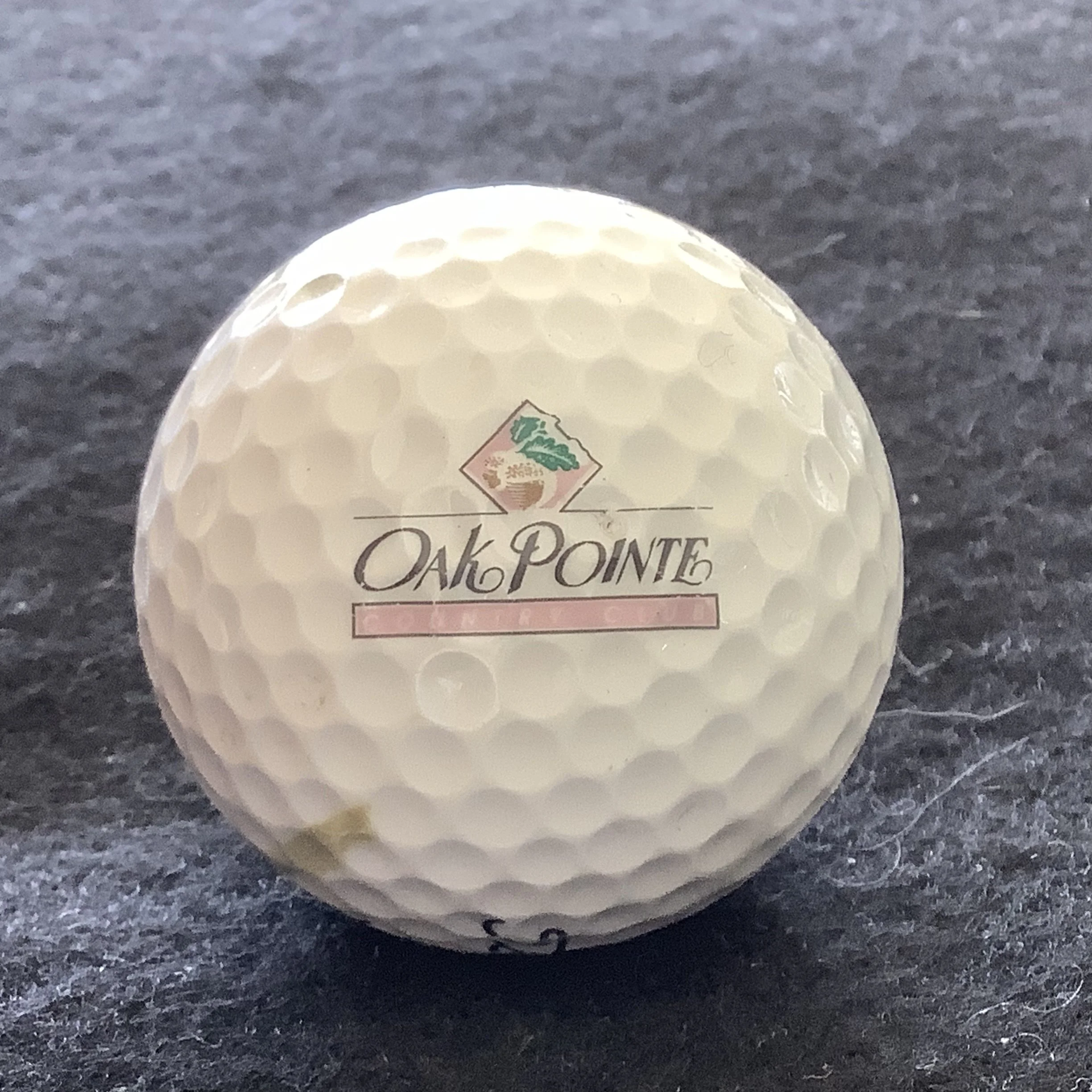 Oak Pointe Country Club 