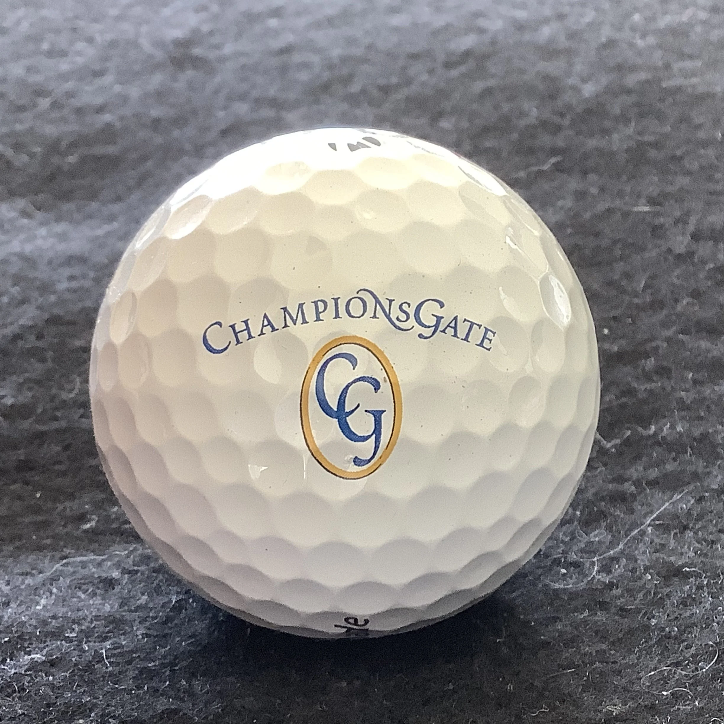 Champions Gate Golf Club 