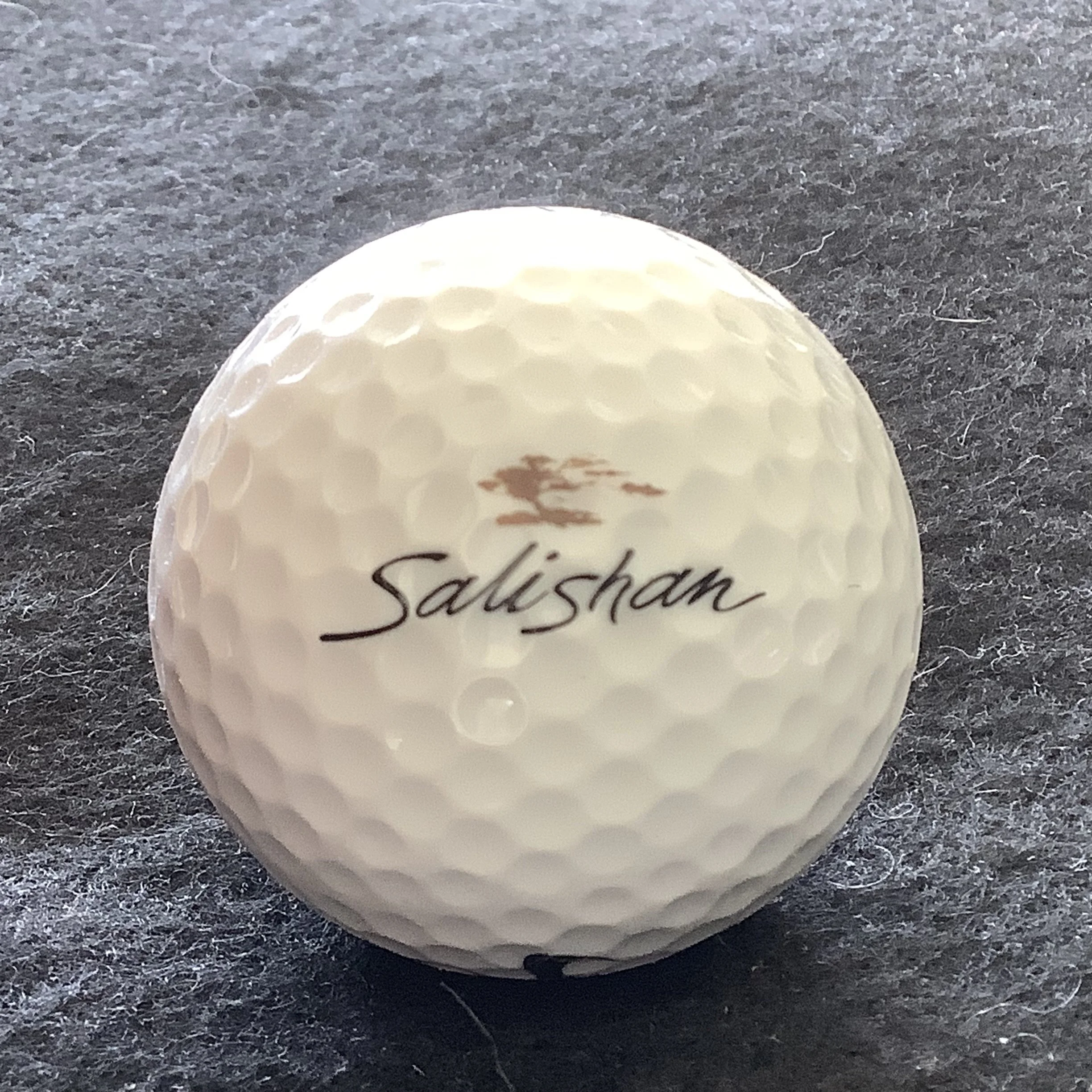 Salishan Resort