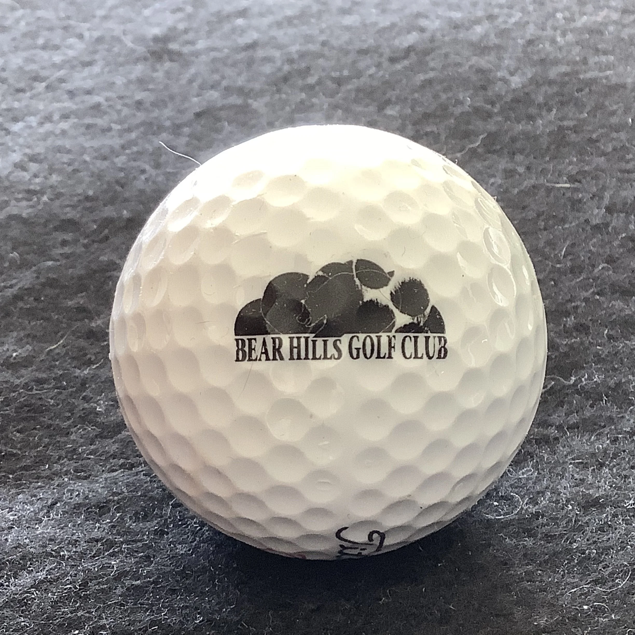 Bear Hills Golf Club 