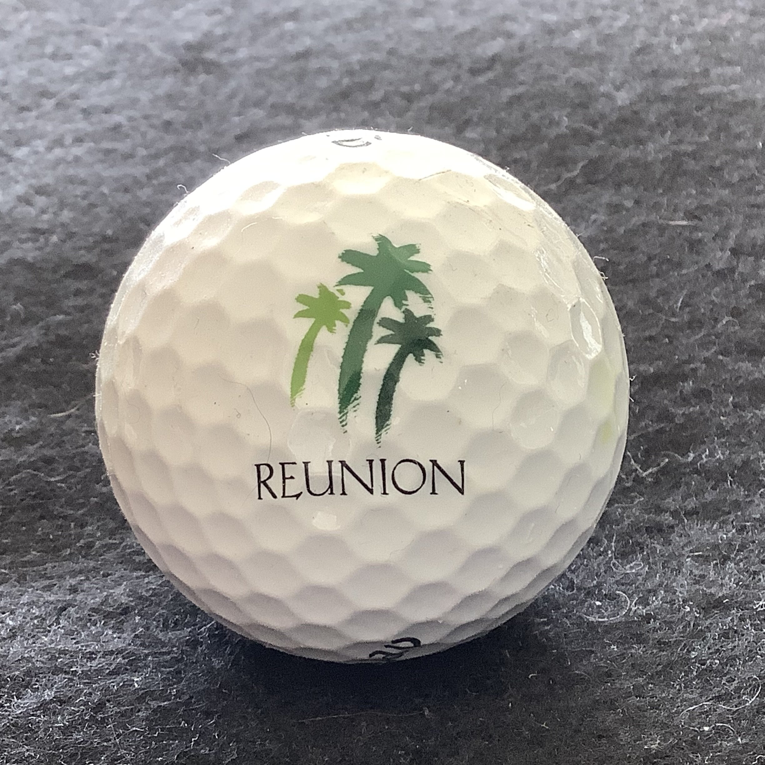 Reunion Resort 