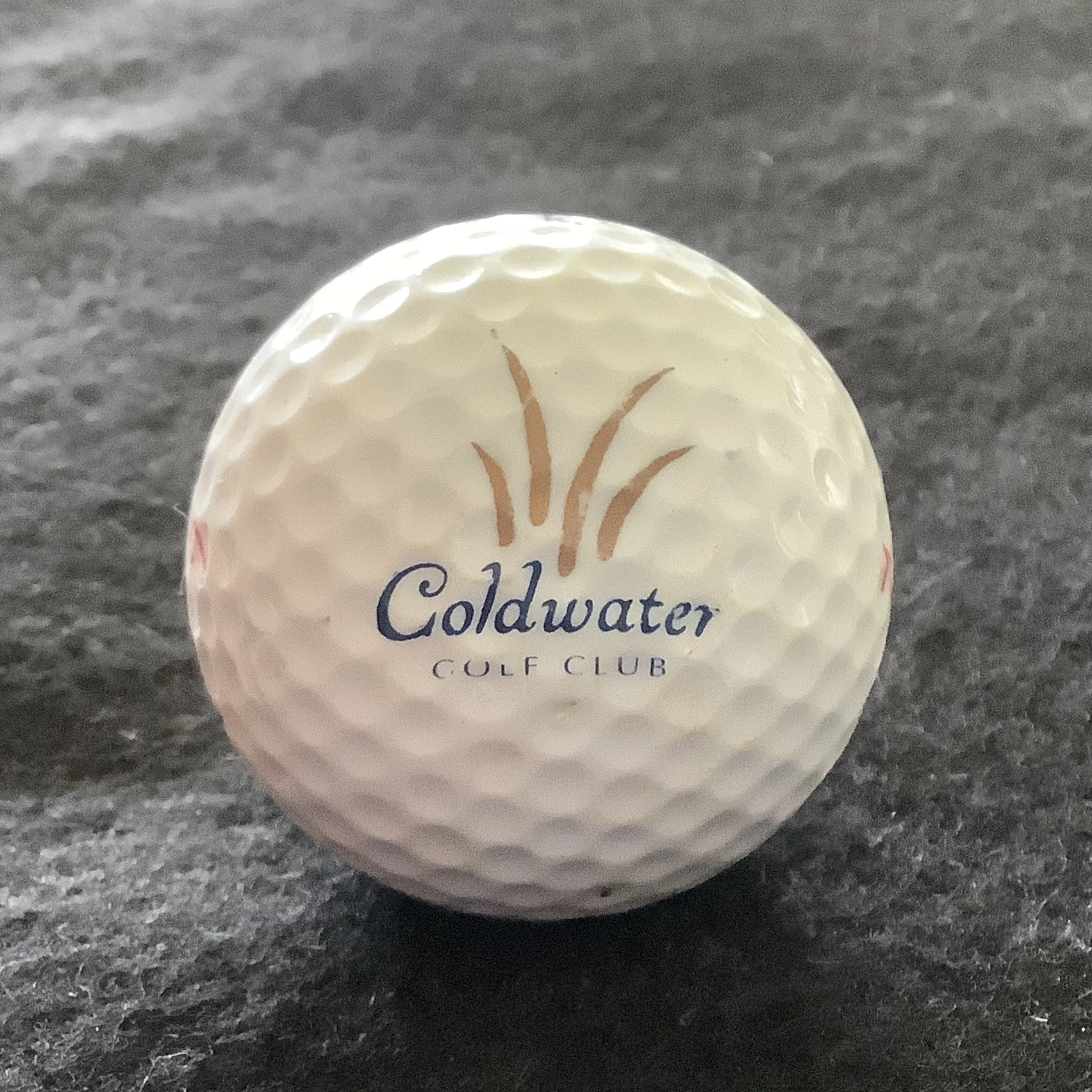 Coldwater Golf Club 