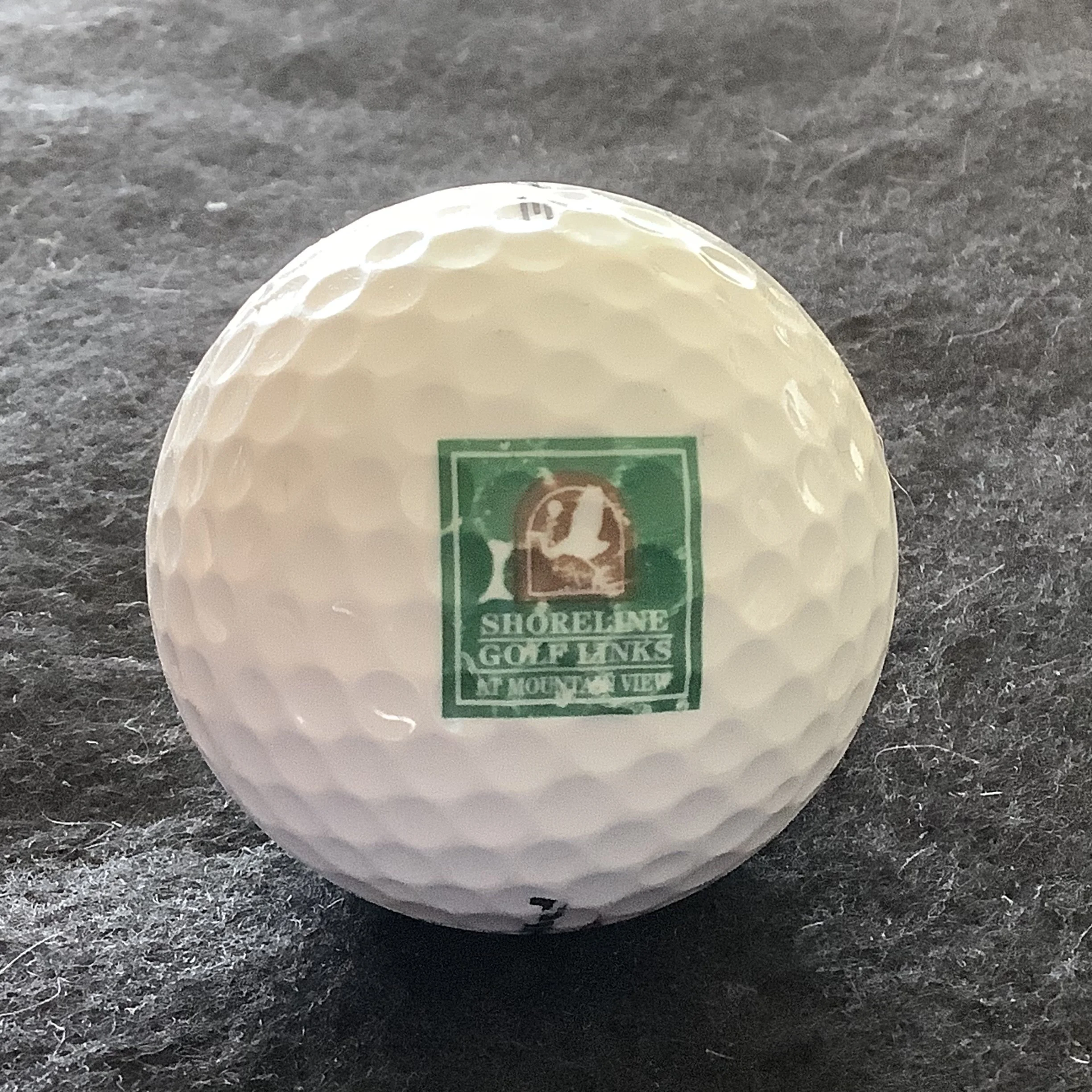 Shoreline Golf Links