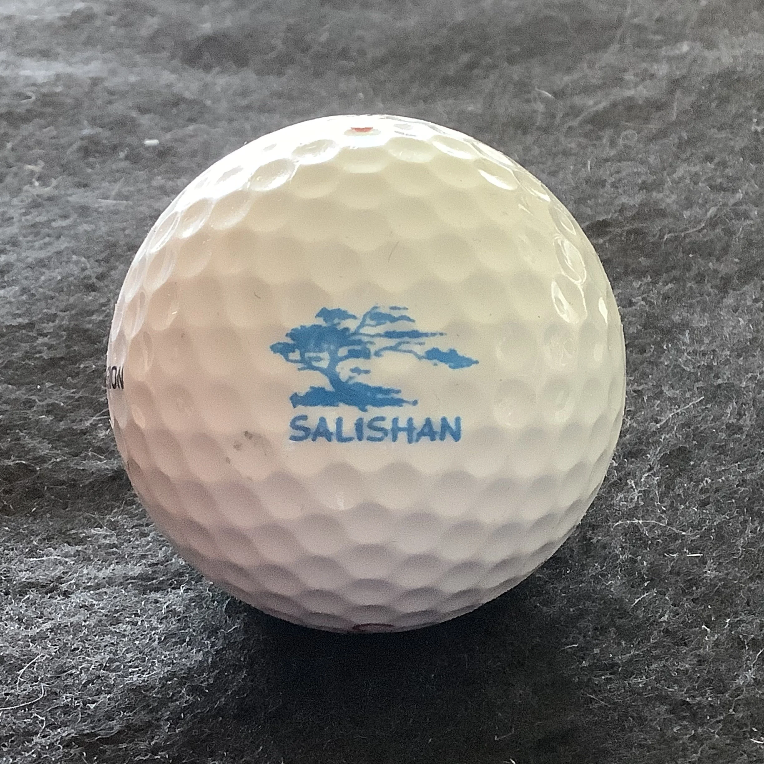 Salishan Resort 