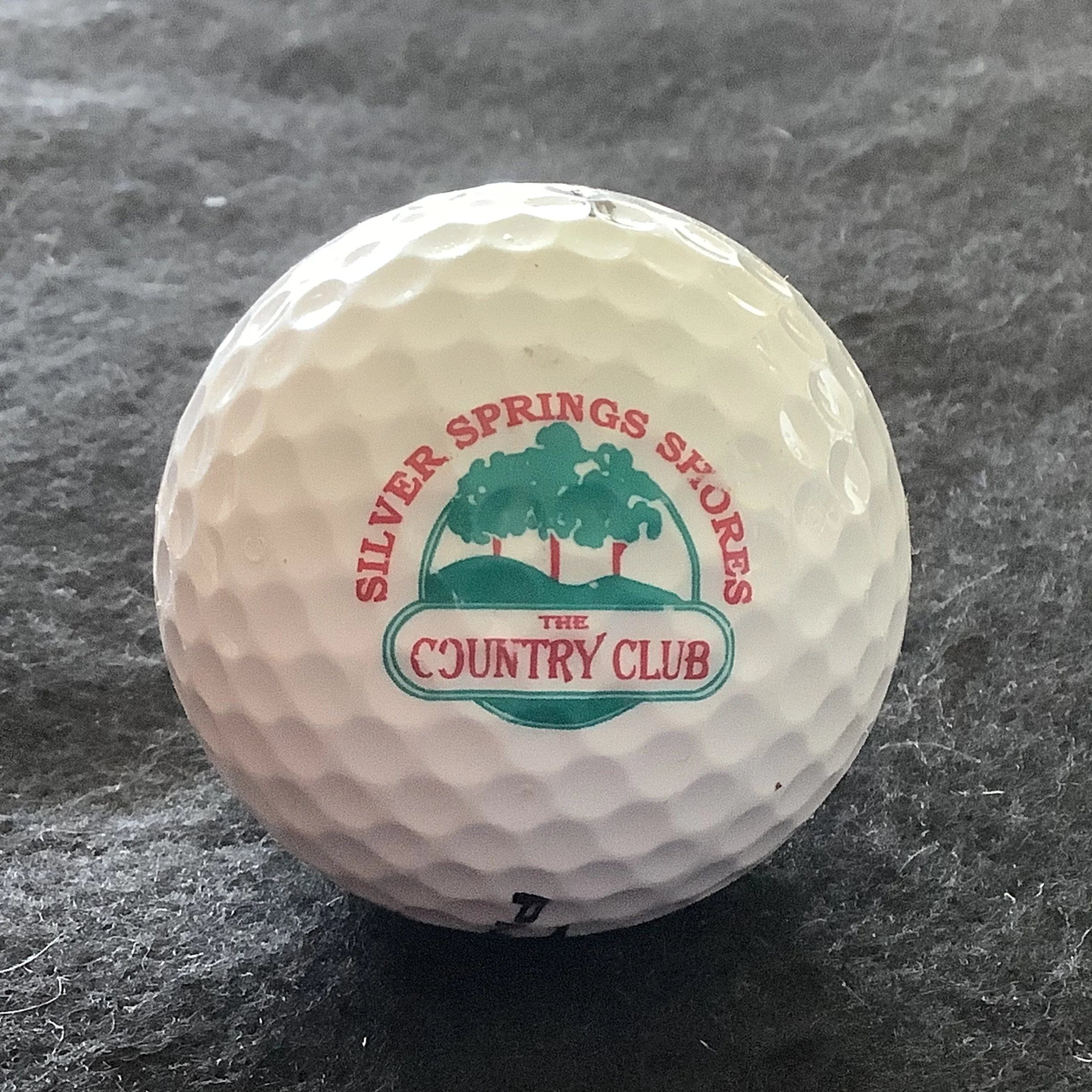 Silver Springs Shores - The Golf Club at Silver Springs Shores