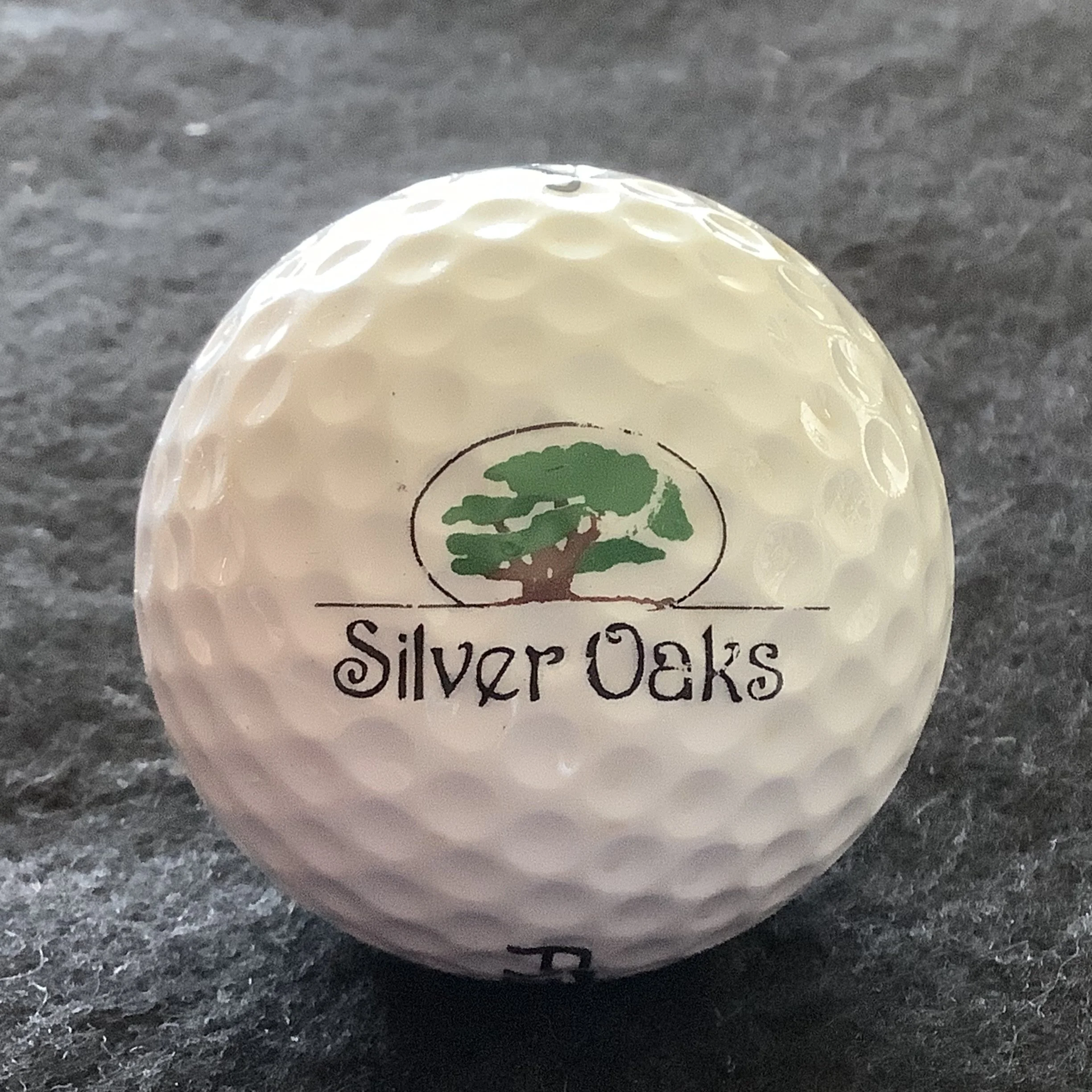 Silver Oaks Golf and Country Club 