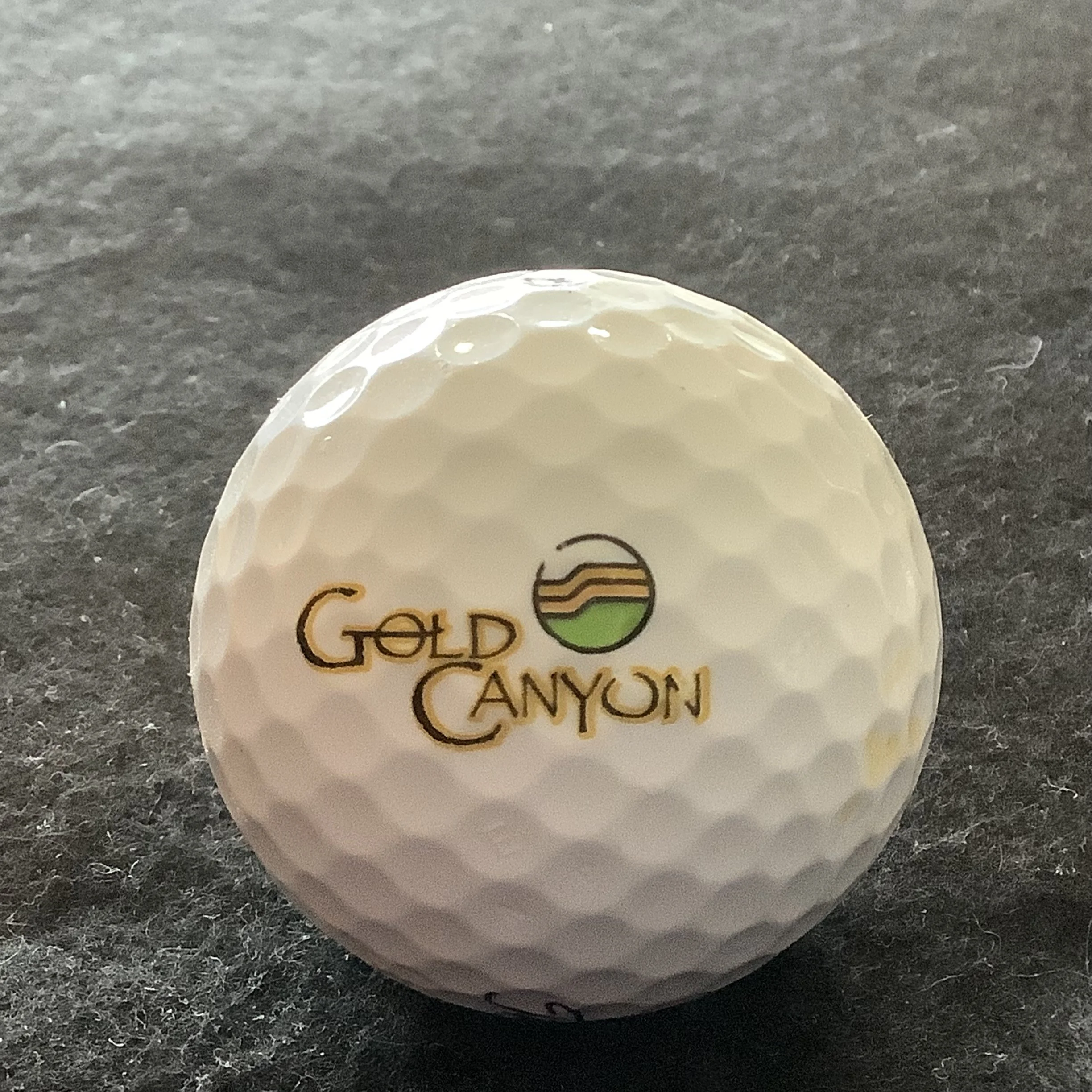 Gold Canyon Golf Resort 