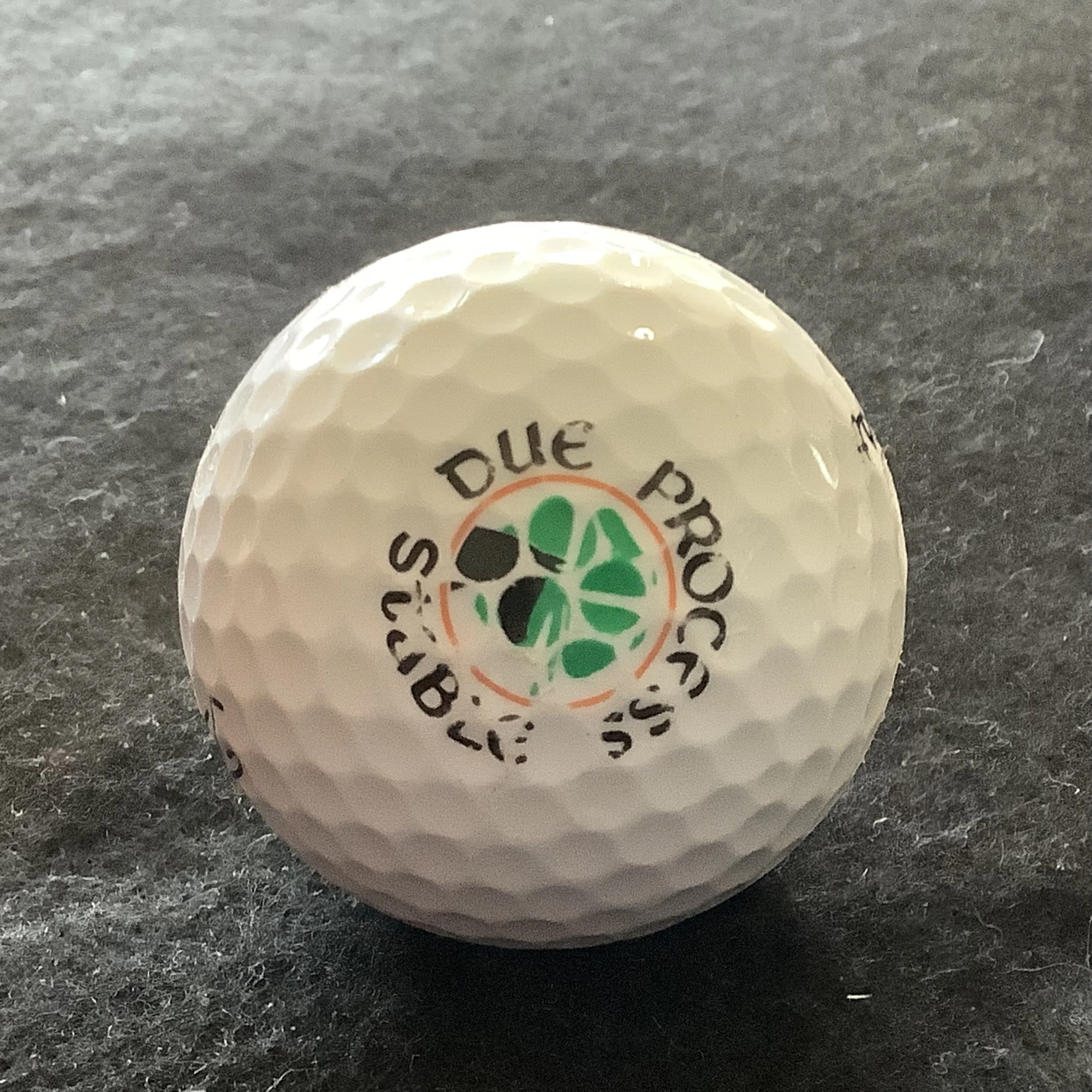 Due Process Stables Golf Course 