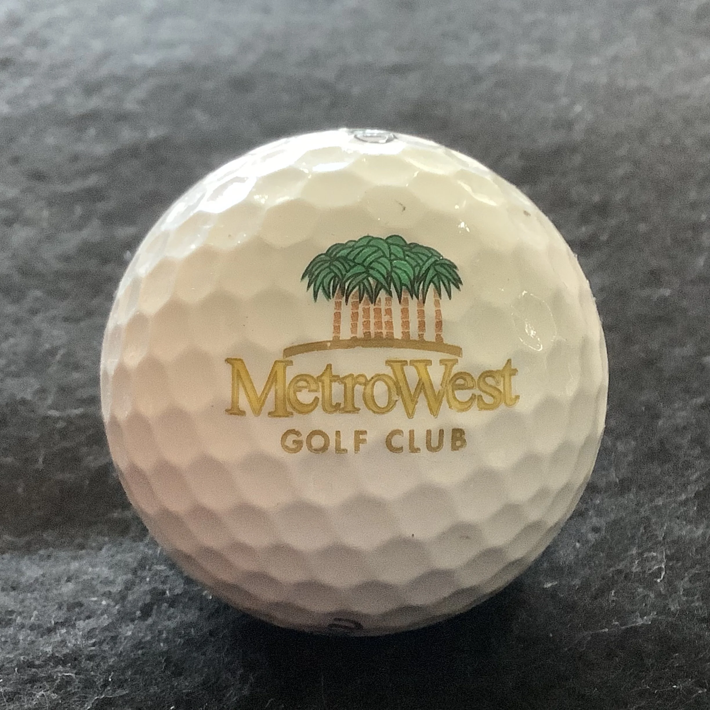Metro West Golf Club 