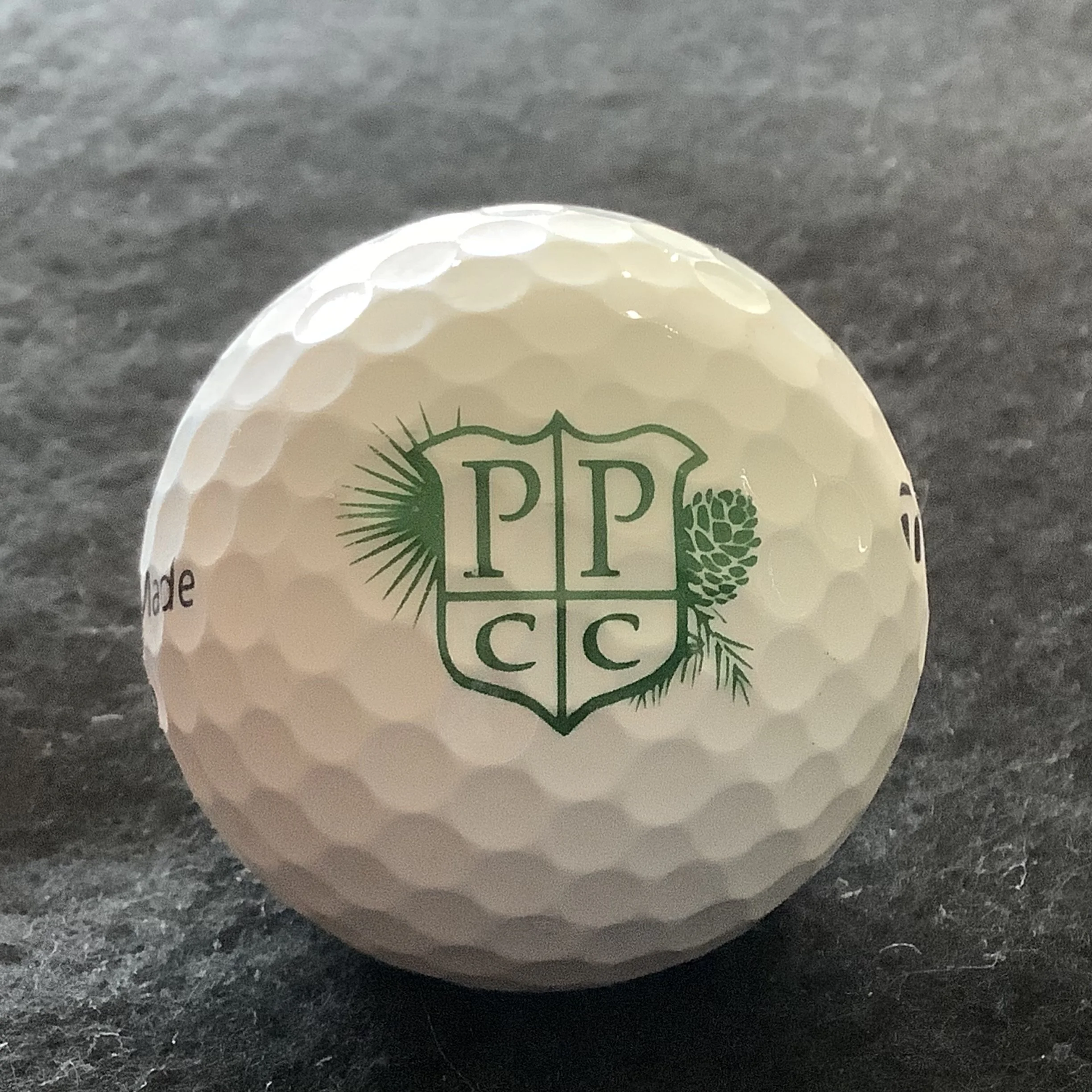 Palmetto Pine Country Club 