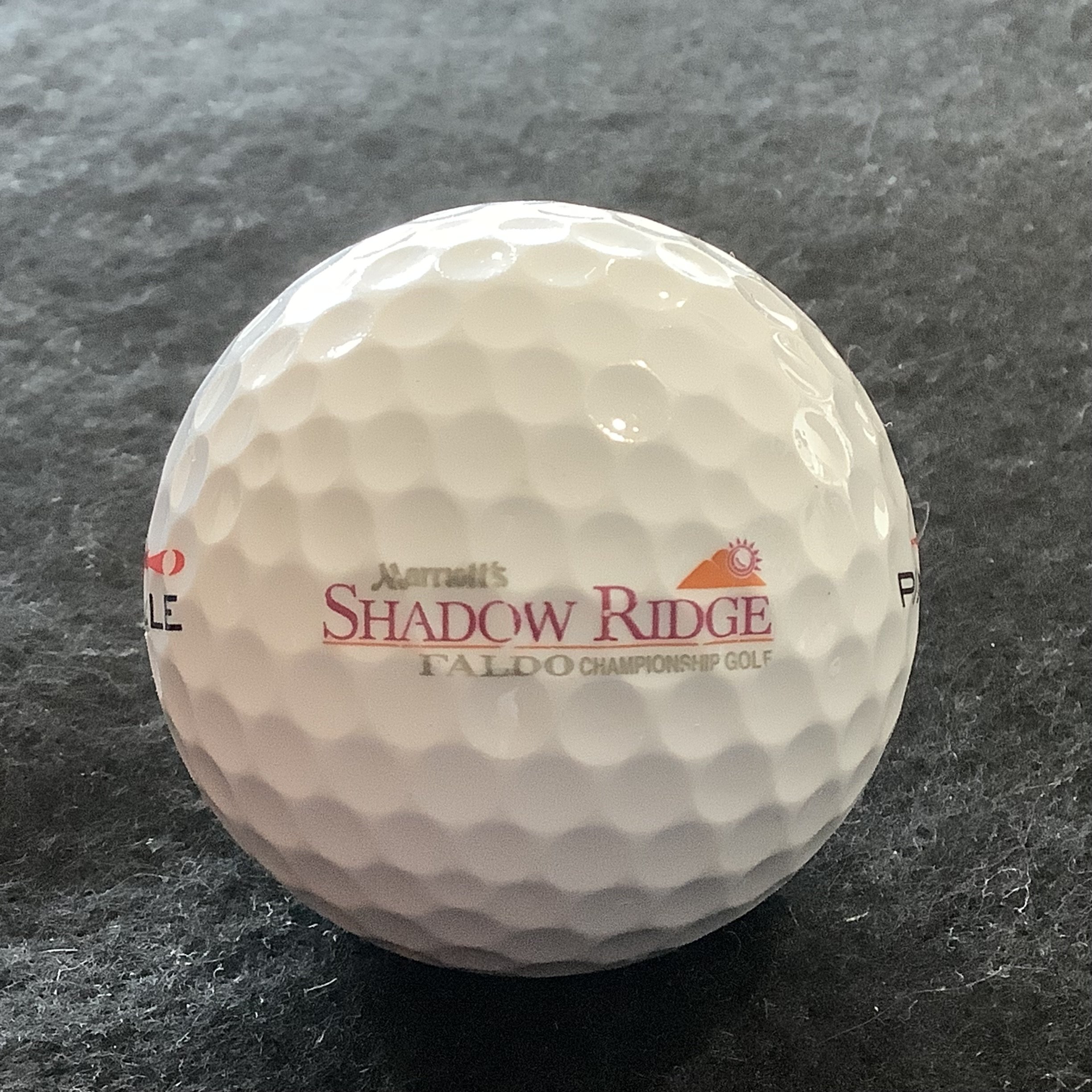 Marriott’s Shadow Ridge Golf Course 