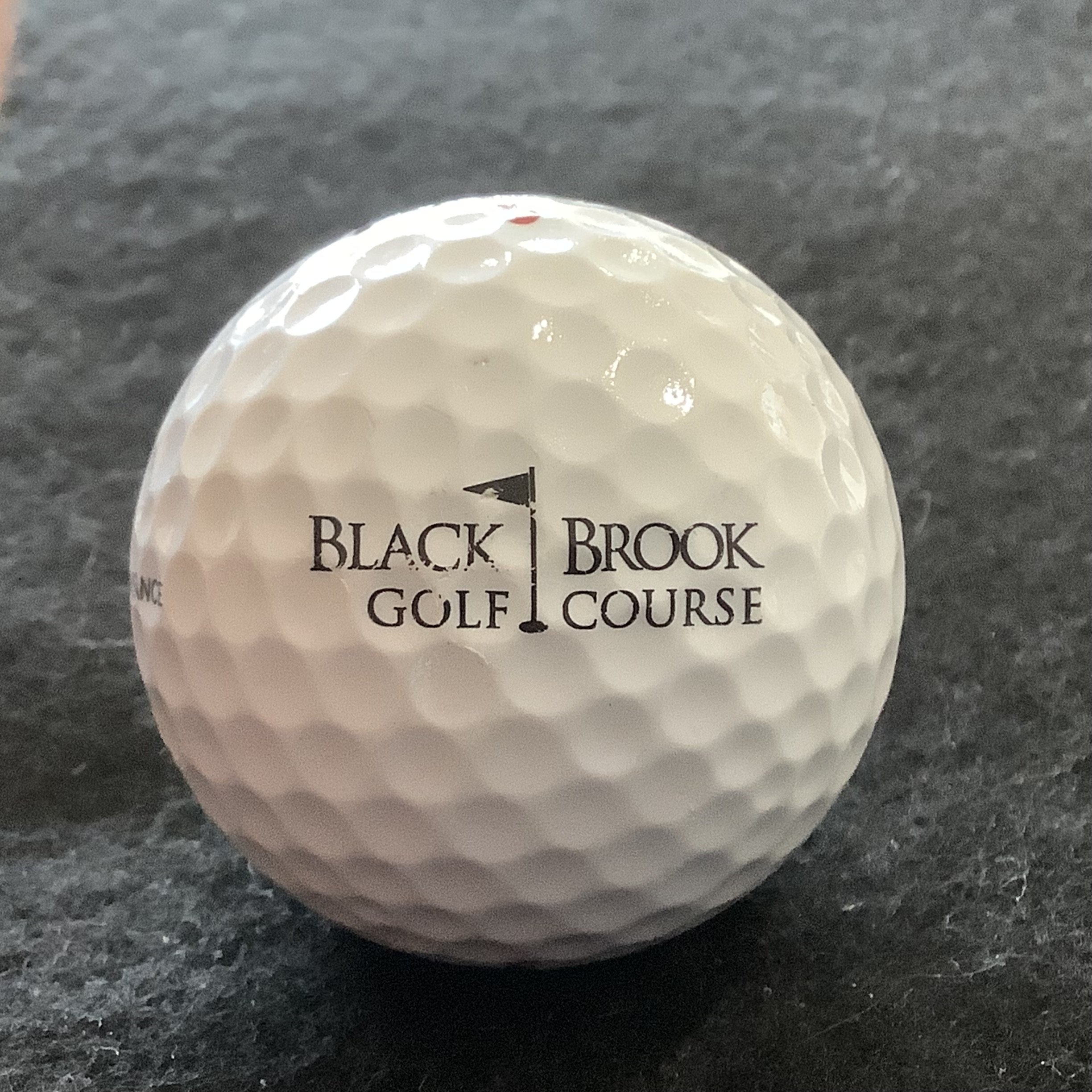 Black Brook Golf Course 