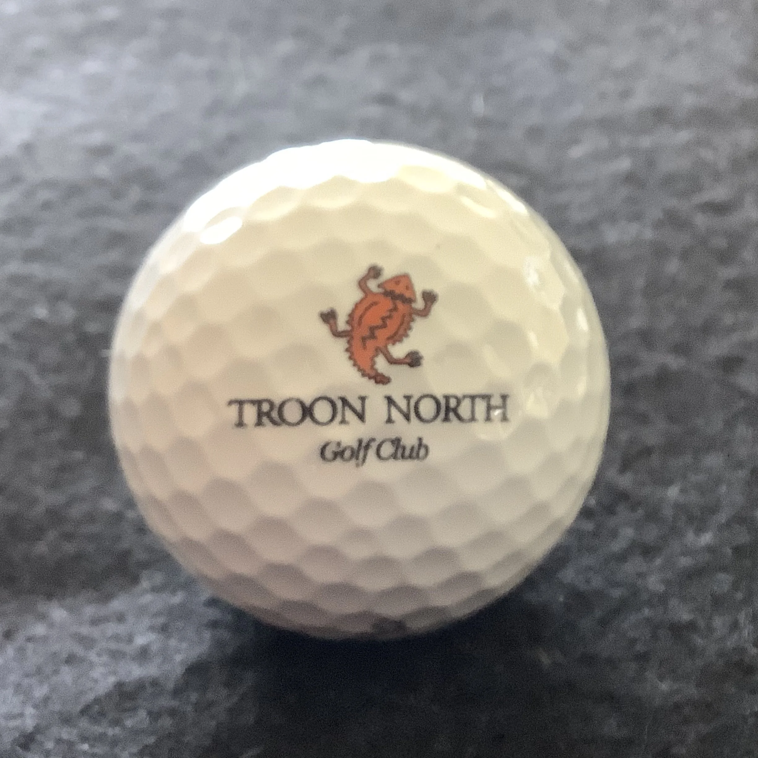 Troon North Golf Club 