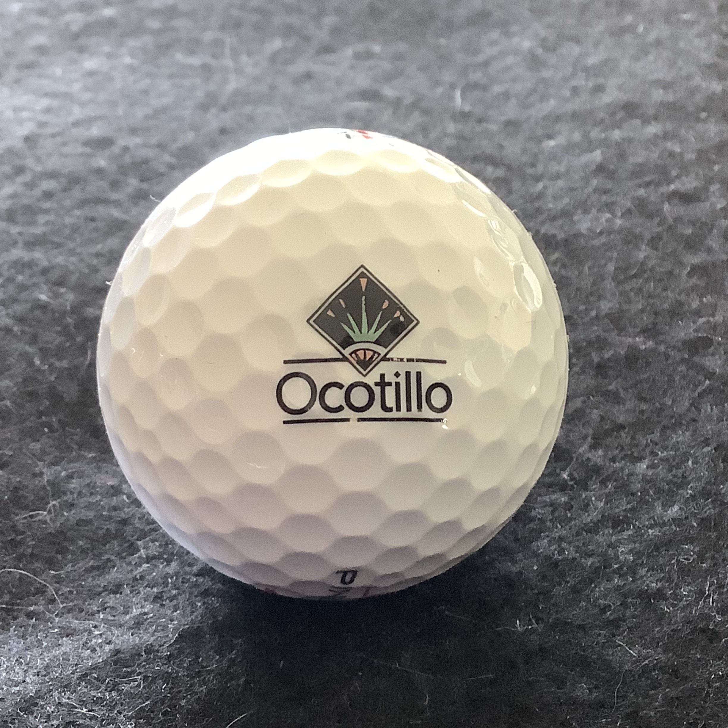 Ocotillo Golf Resort 