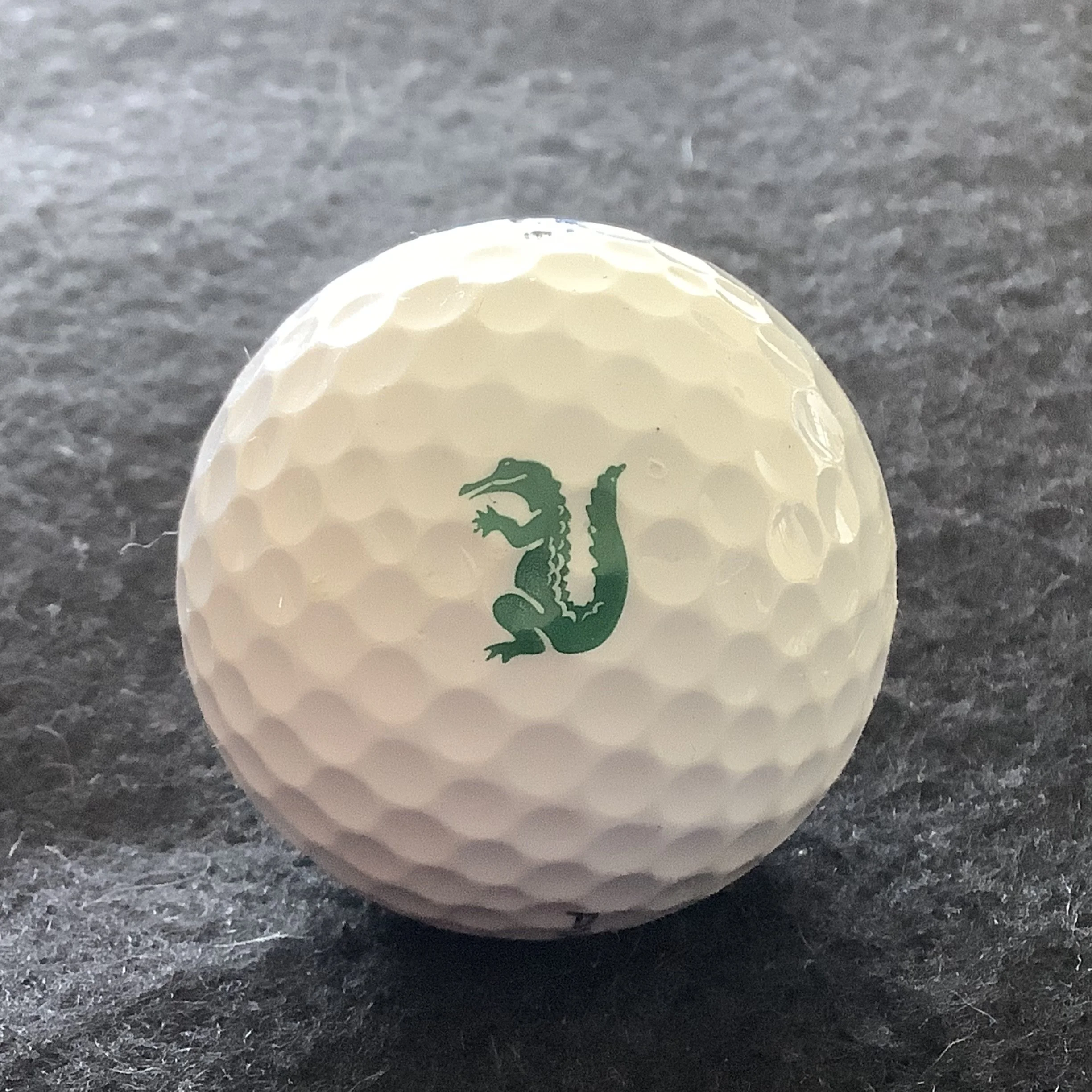 Everglades - The Everglades Club 