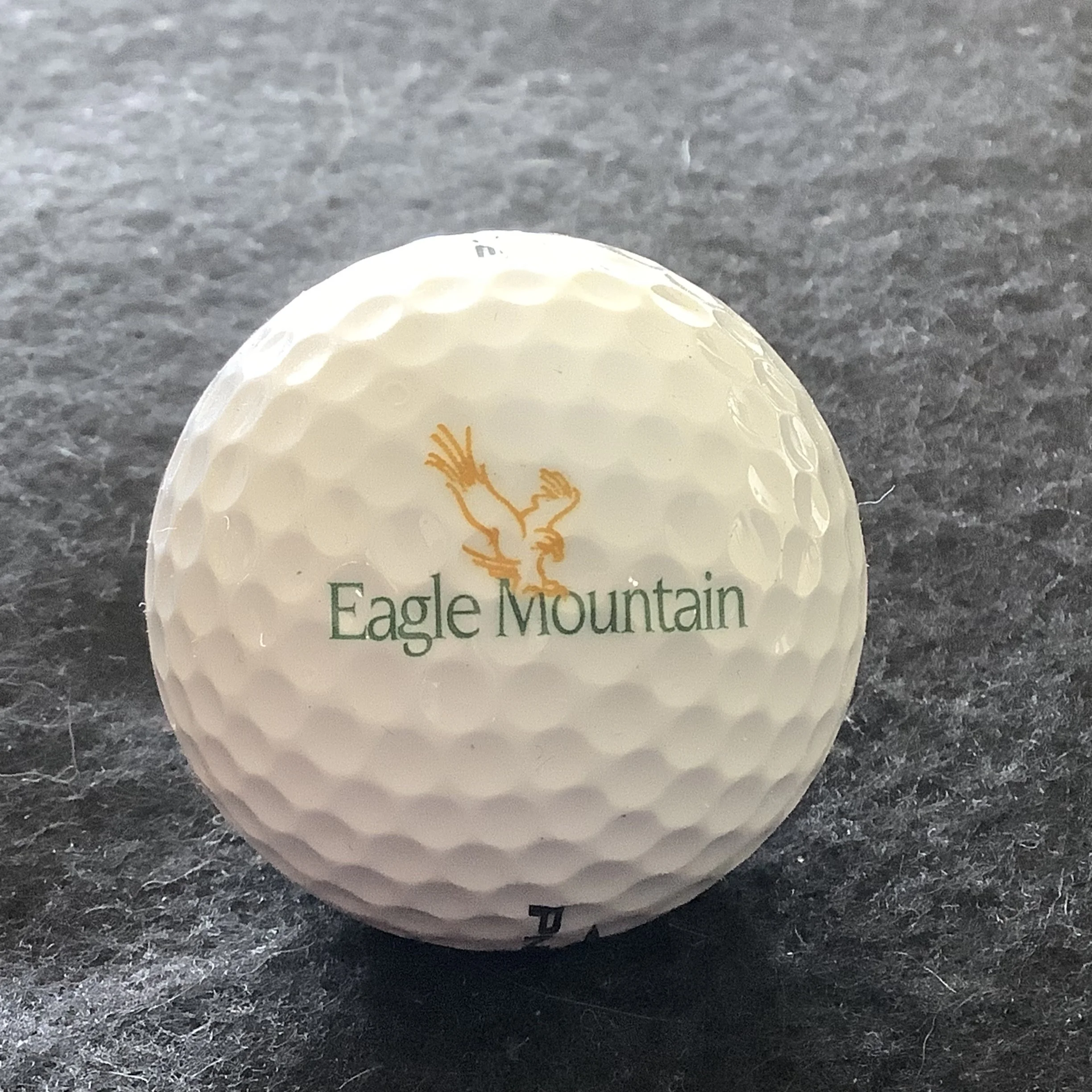Eagle Mountain Golf Club 