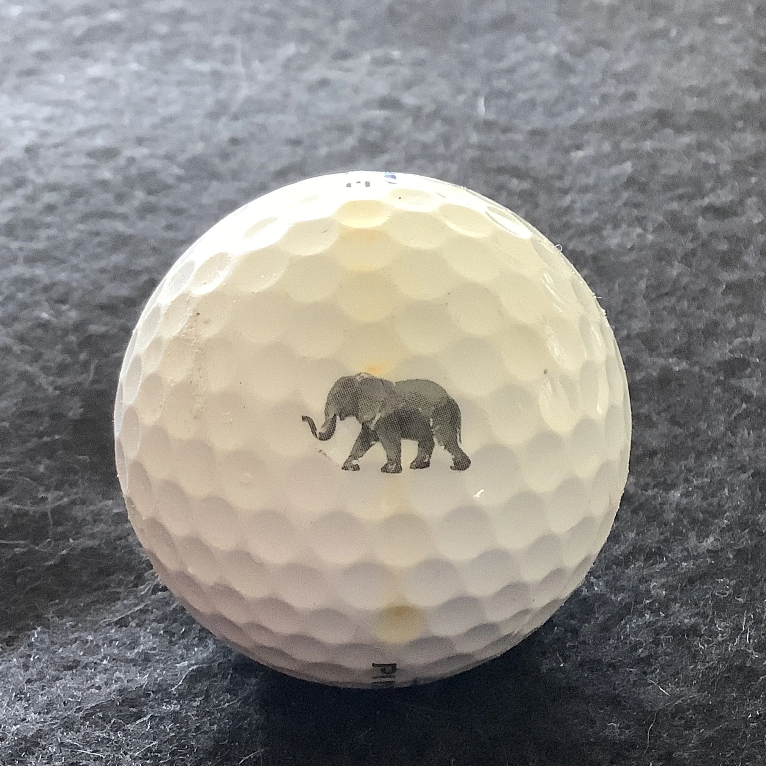 Wanderers - The Wanderers Club