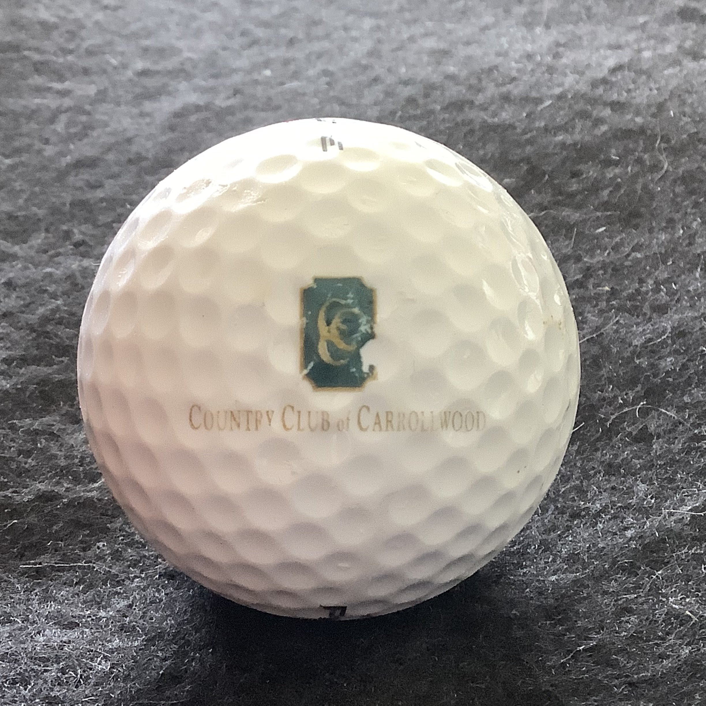 Carrollwood - Country Club of Carrollwood