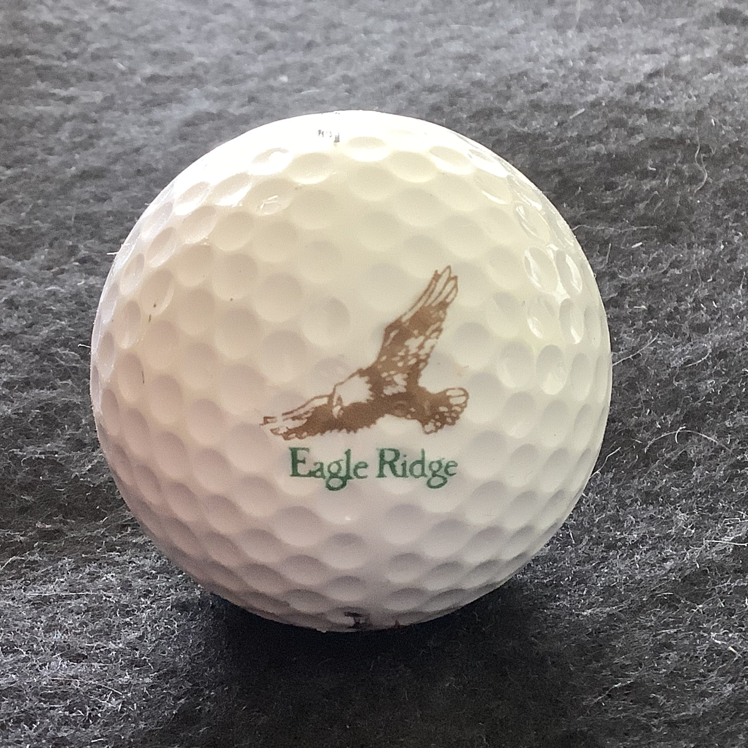 Eagle Ridge Golf Club 
