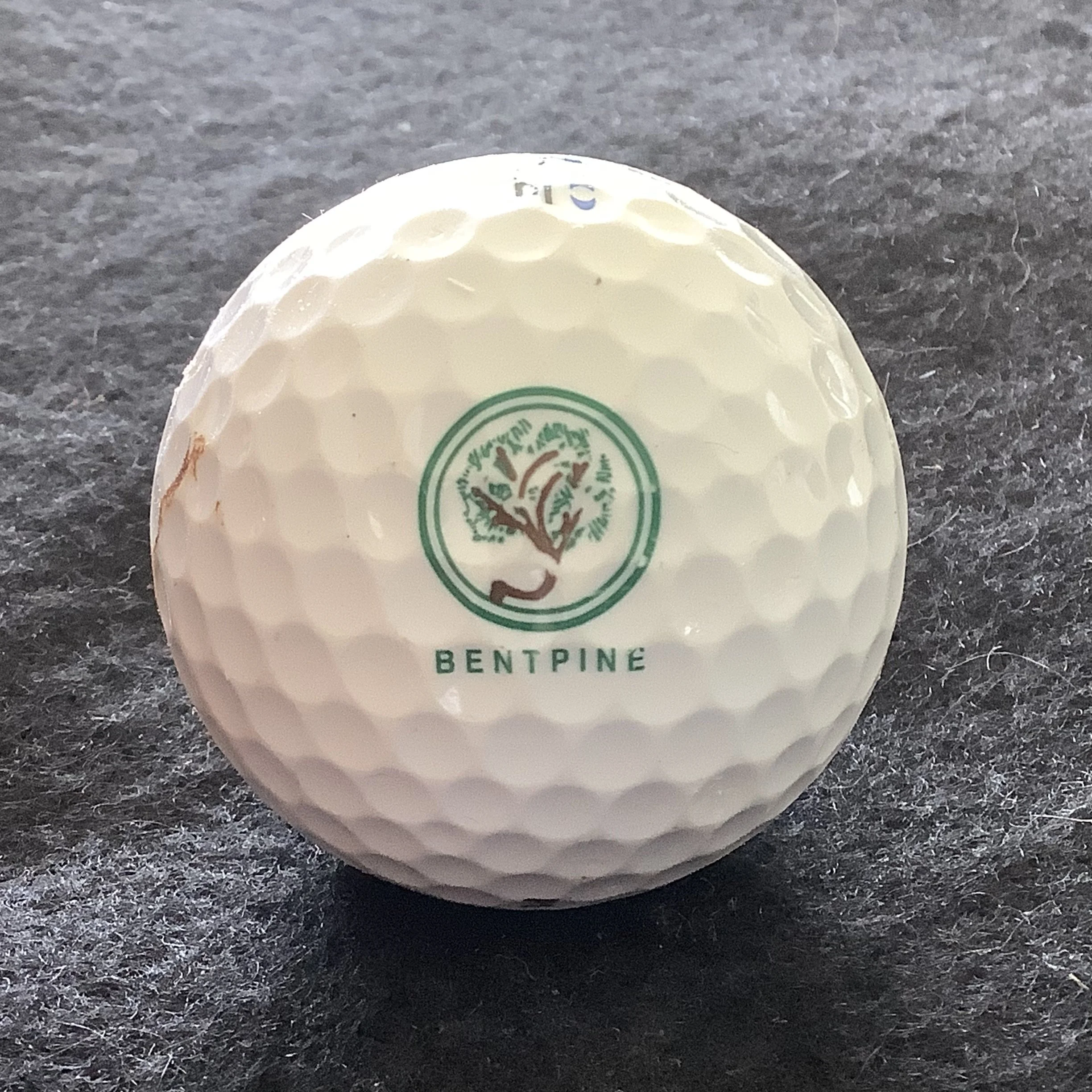 Bent Pine Golf Club 