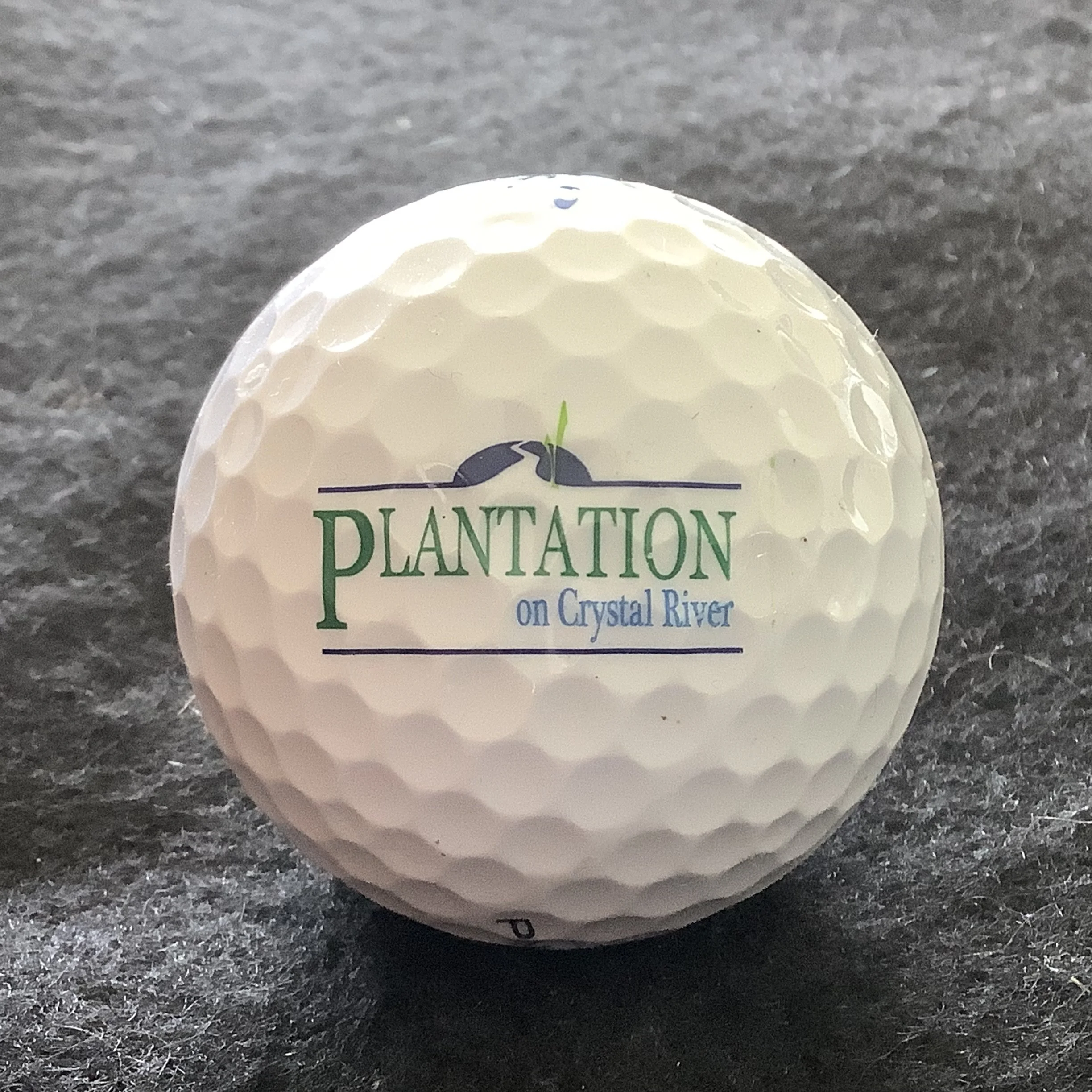 Plantation on Crystal River Golf Course 