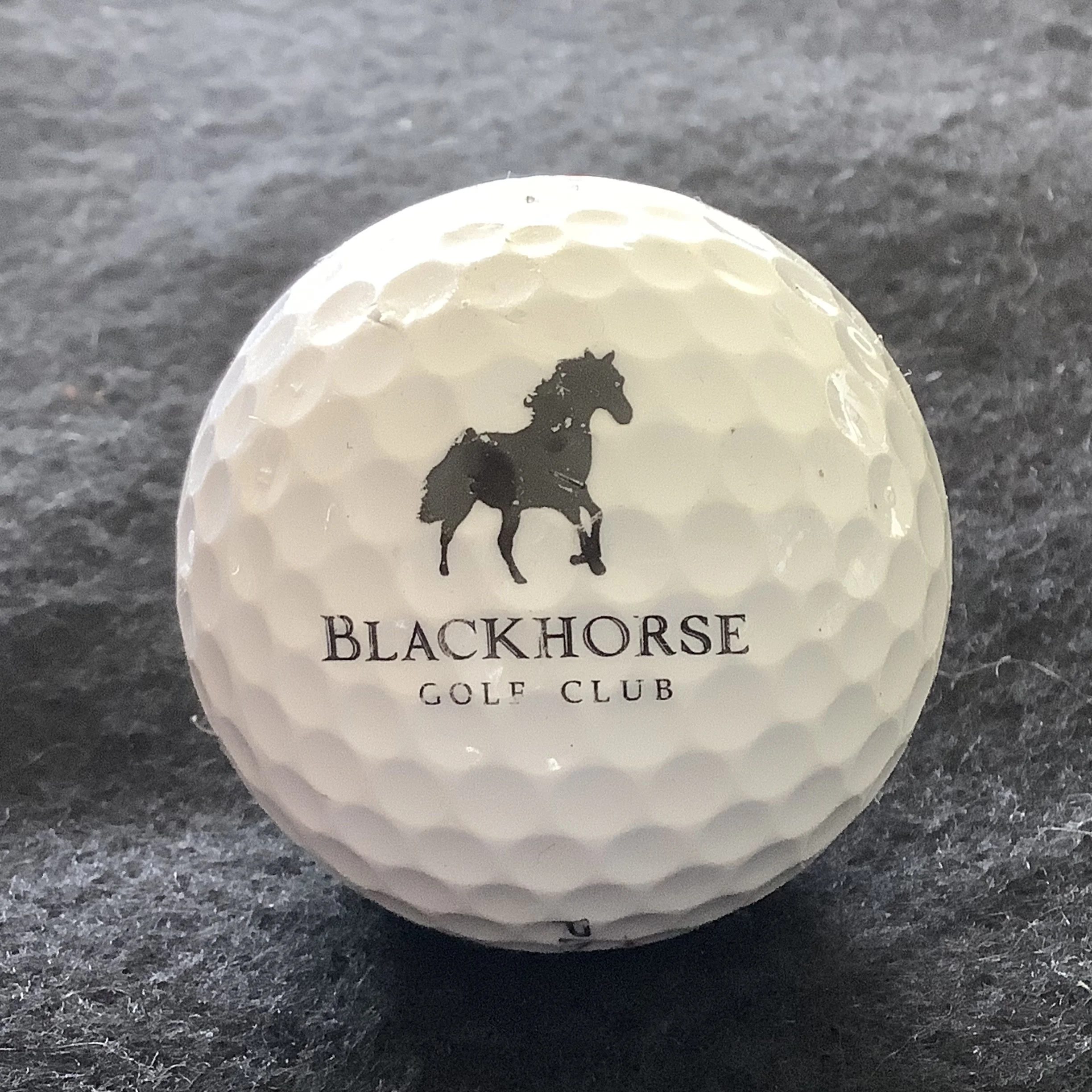 Blackhorse Golf Club 