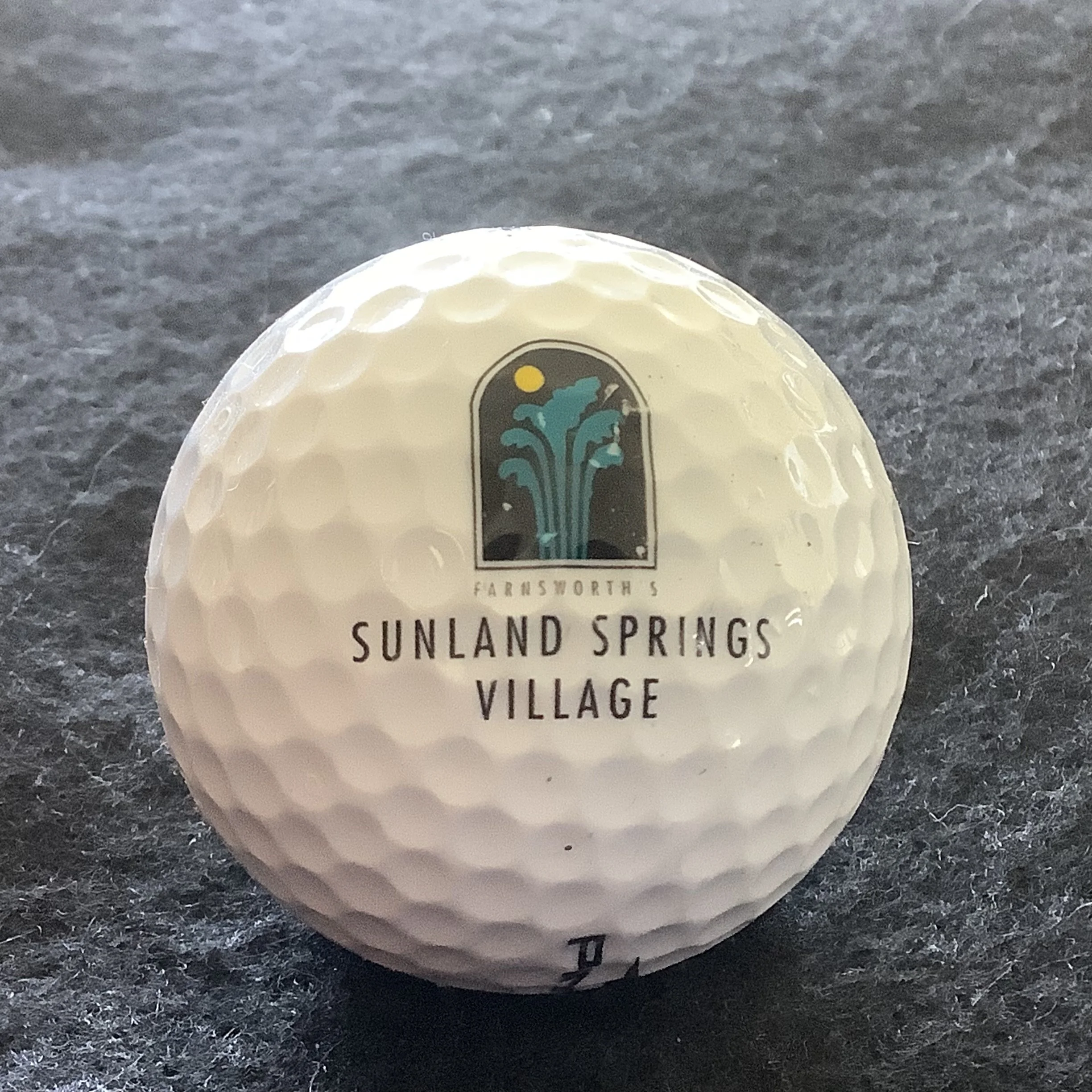 Farnsworth’s Sunland Springs Village