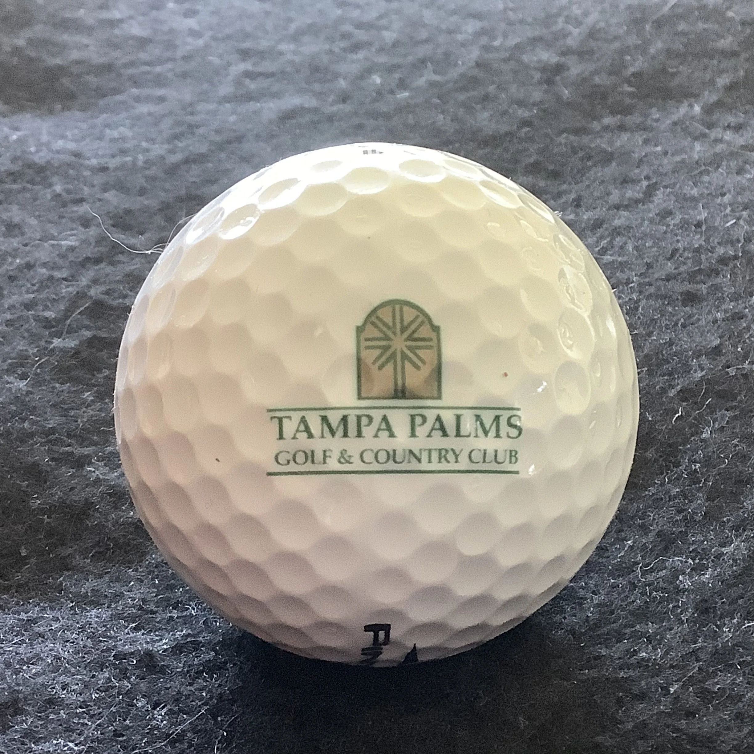 Tampa Palms Golf and Country Club 