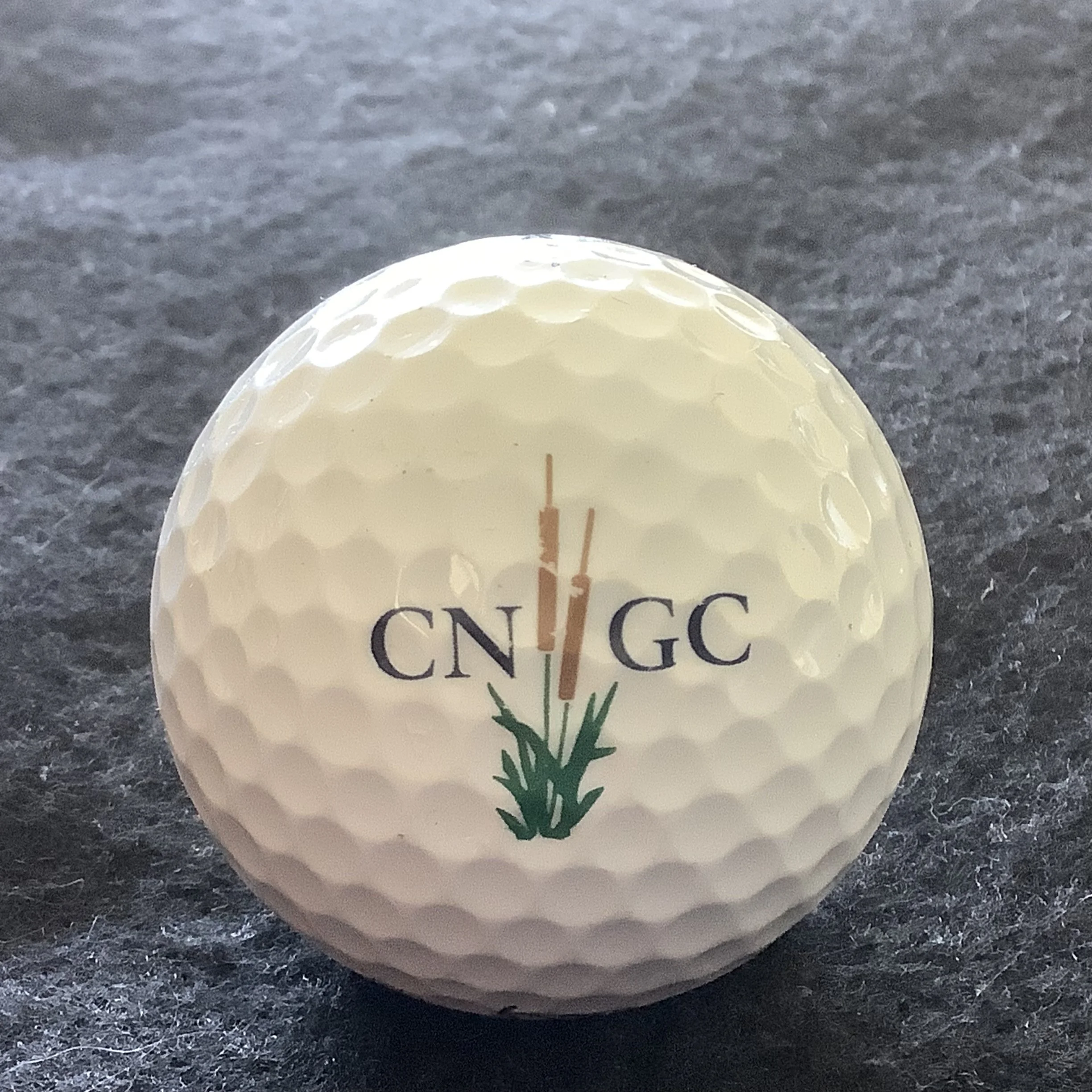 Commonwealth National Golf Club 