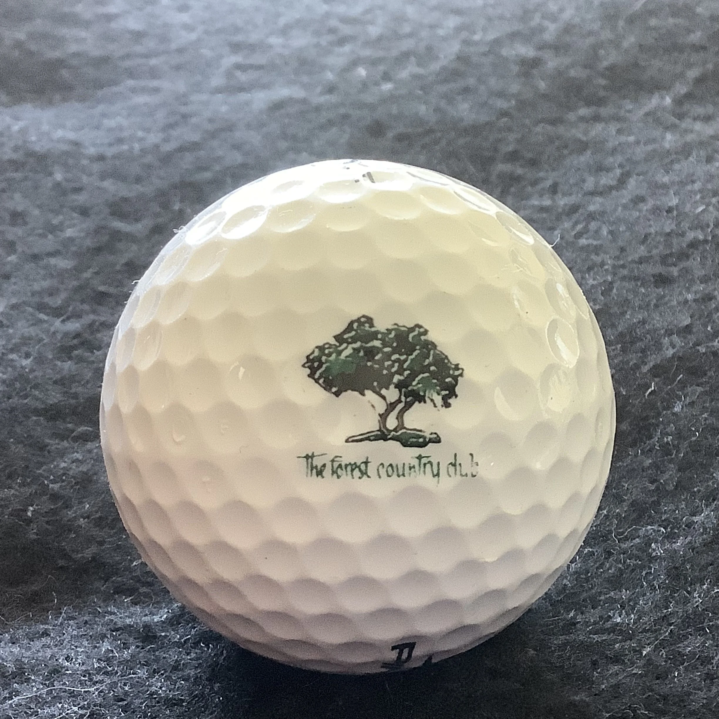 Forest - The Forest Country Club 