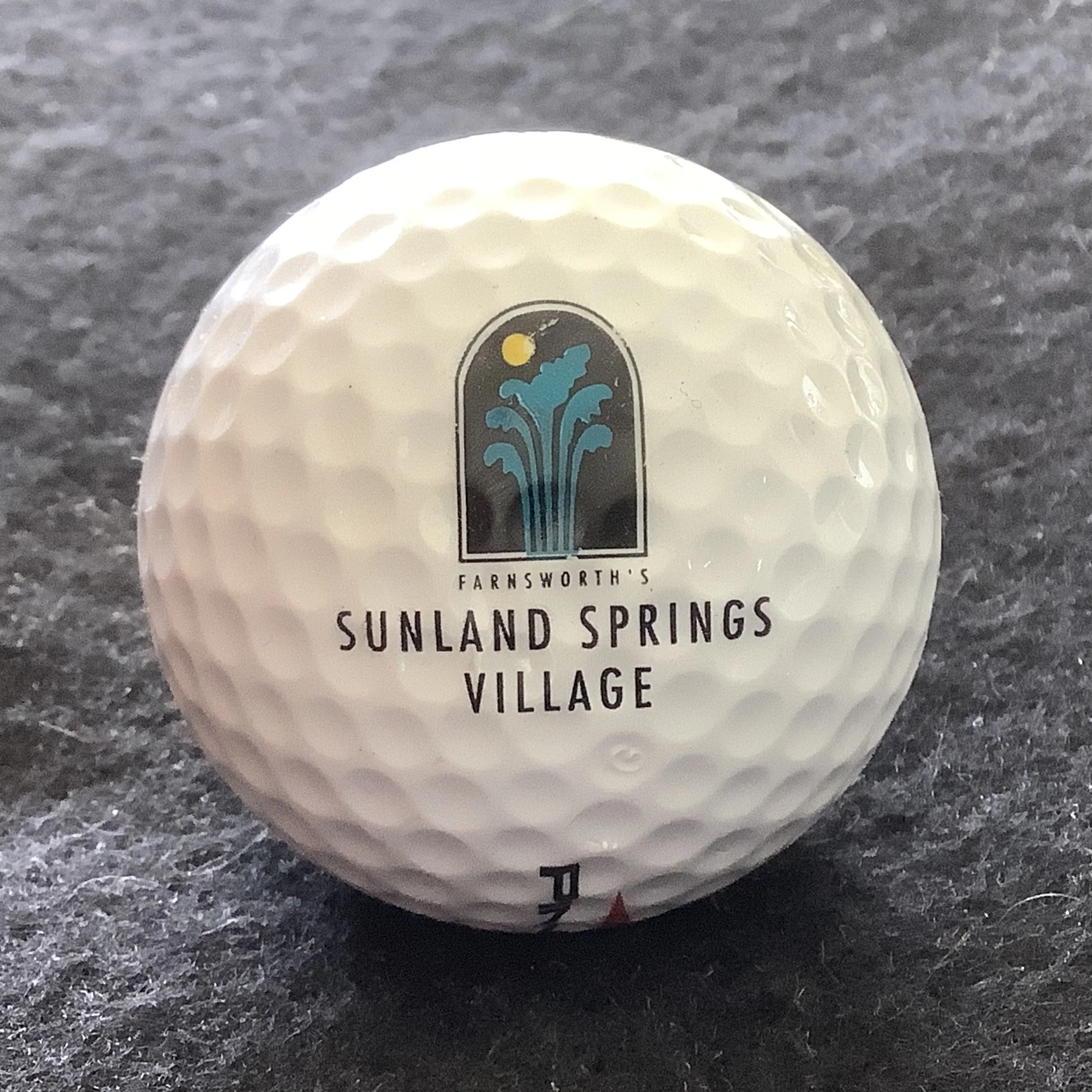 Farnsworth’s Sunland Springs Village