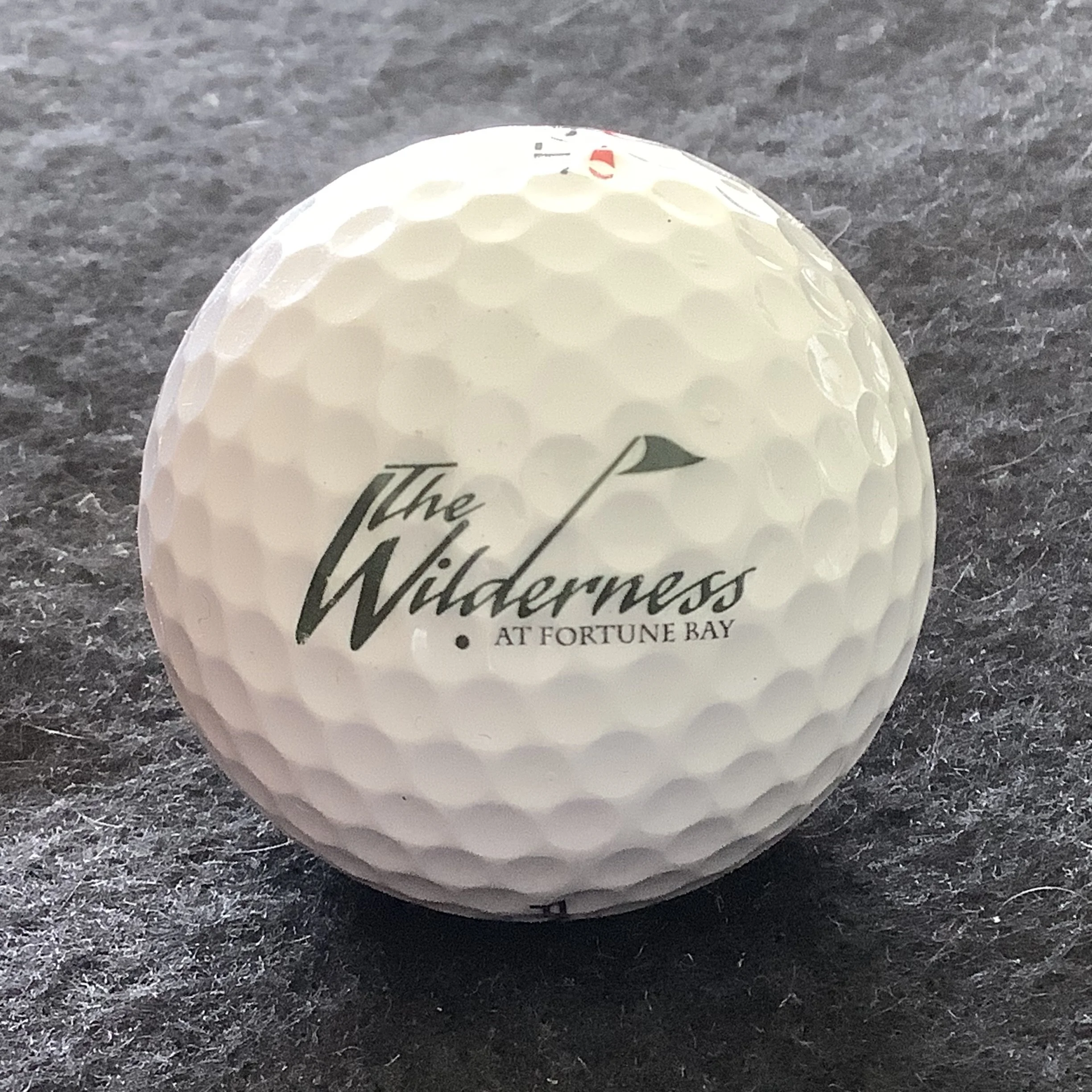 Wilderness - The Wilderness at Fortune Bay