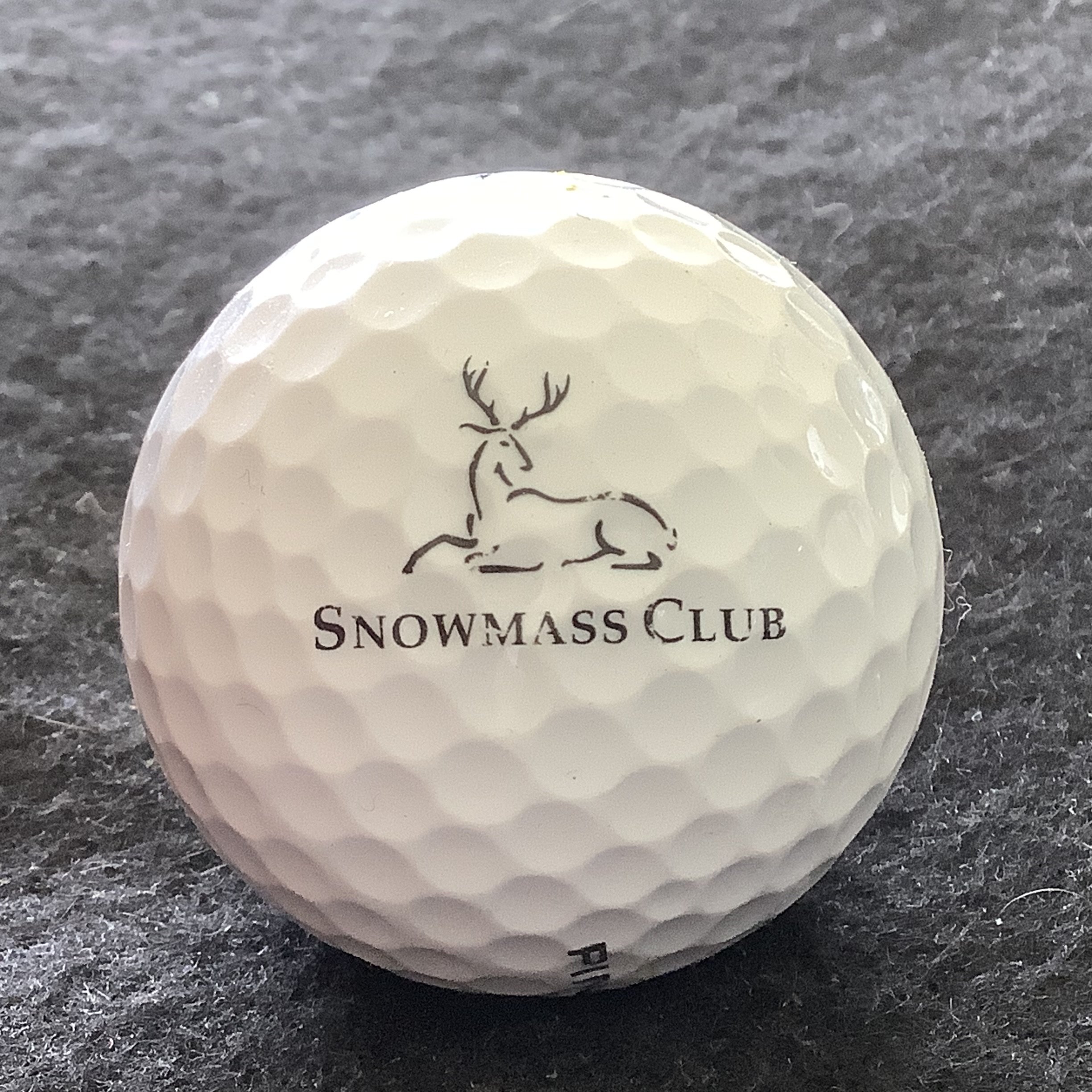 Snowmass Club