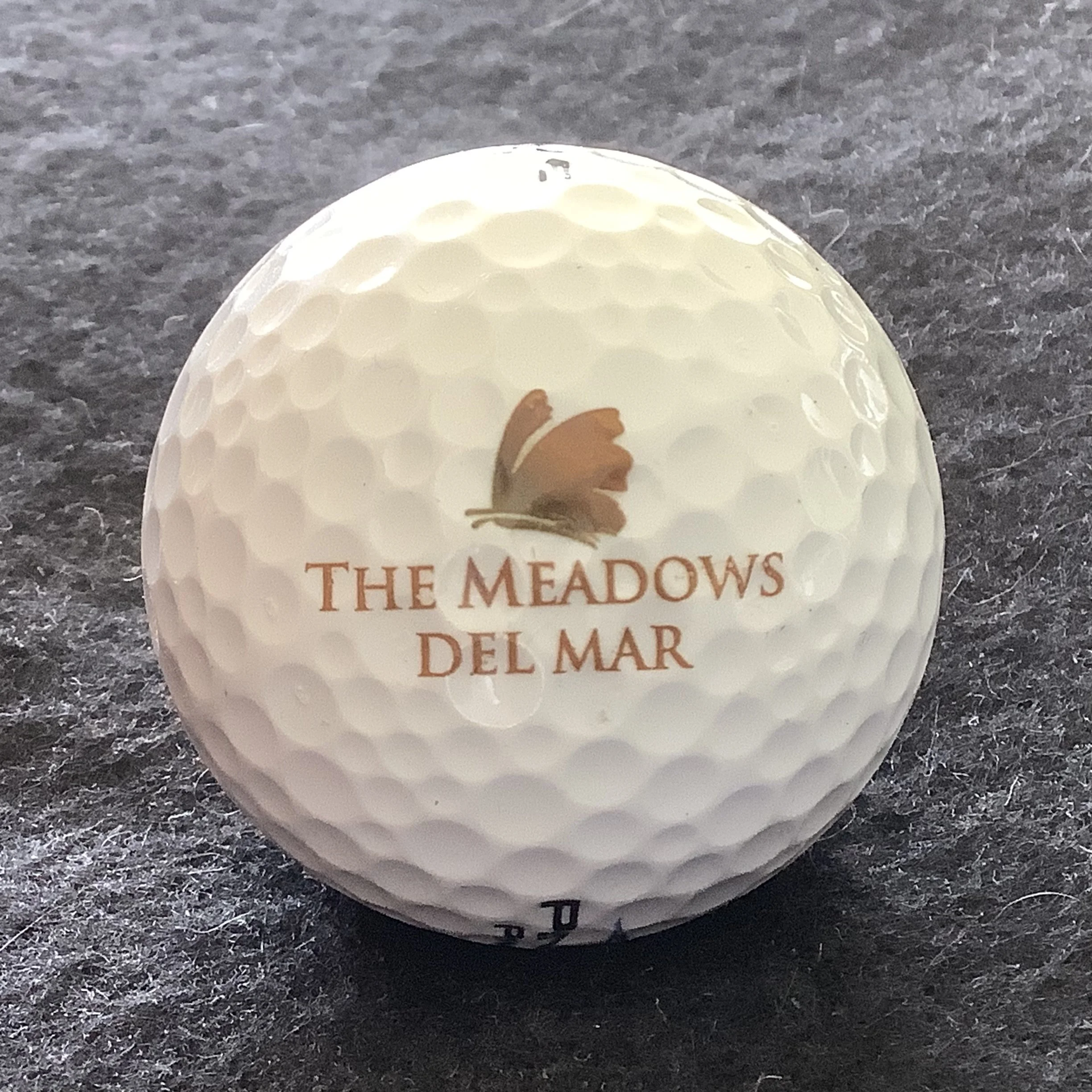 Meadows - The Meadows Del Mar Golf Course 