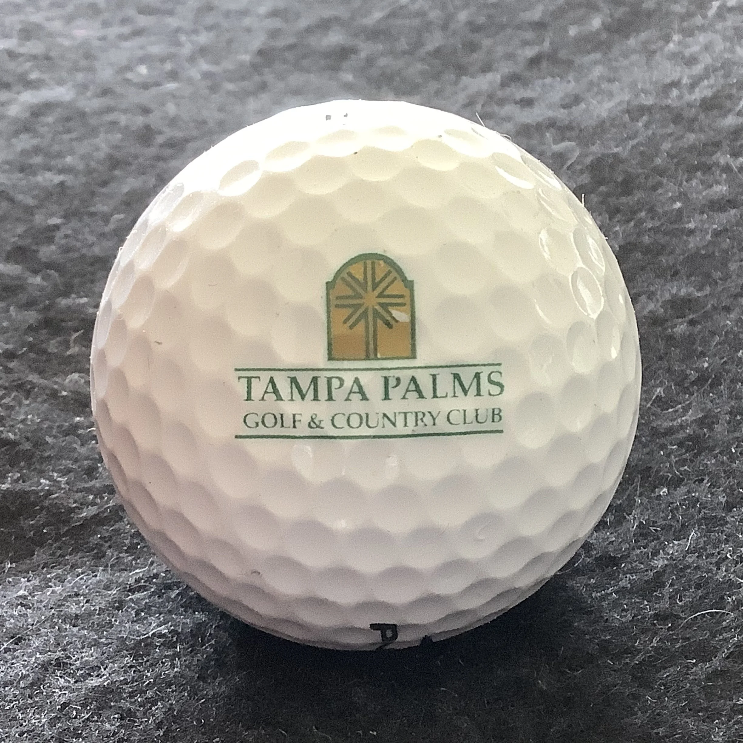 Tampa Palms Golf and Country Club 